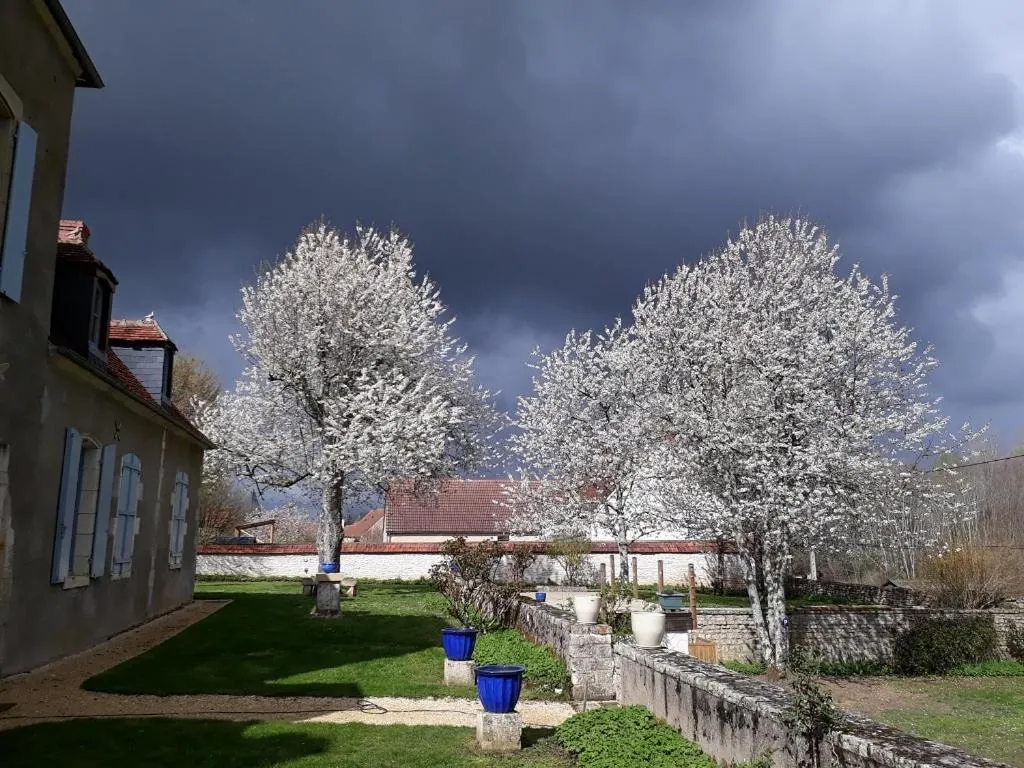 Garden in La Cuvellerie