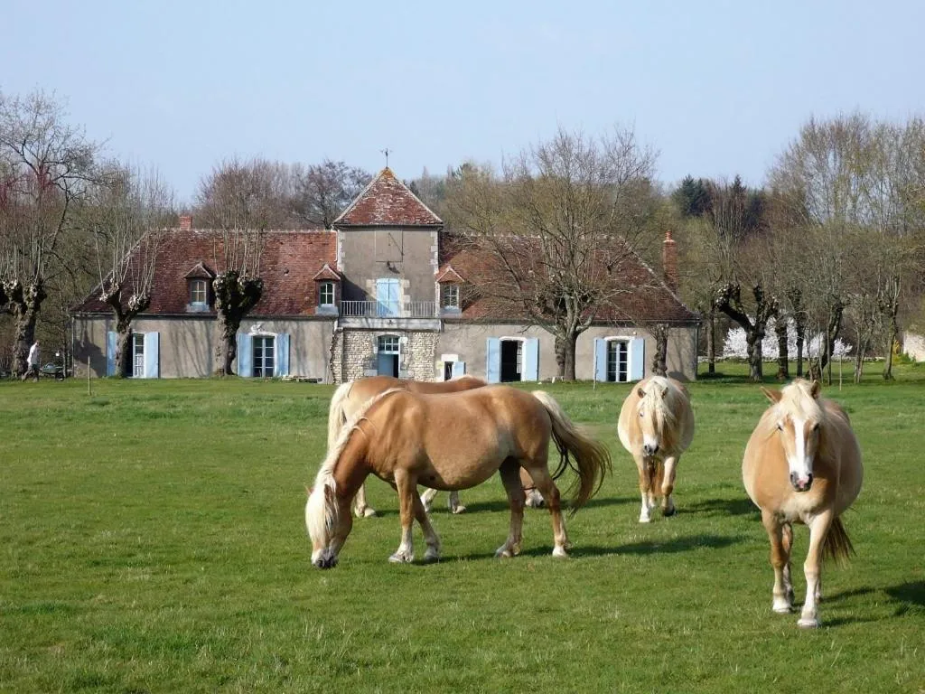 Garden in La Cuvellerie