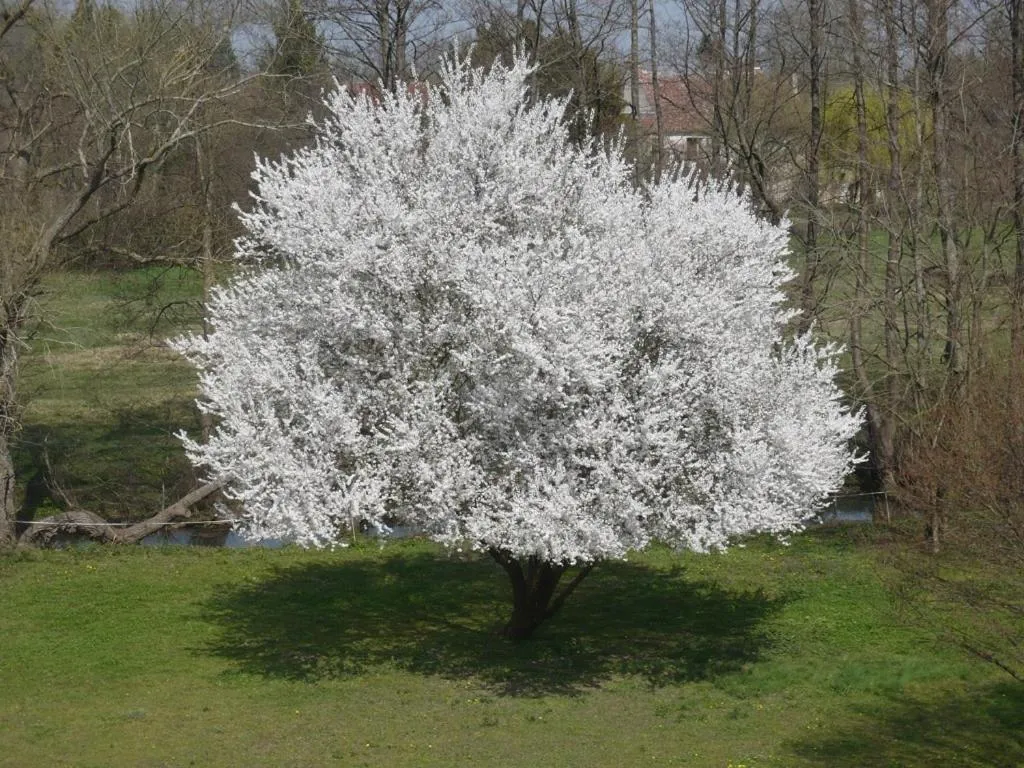 Property building in La Cuvellerie