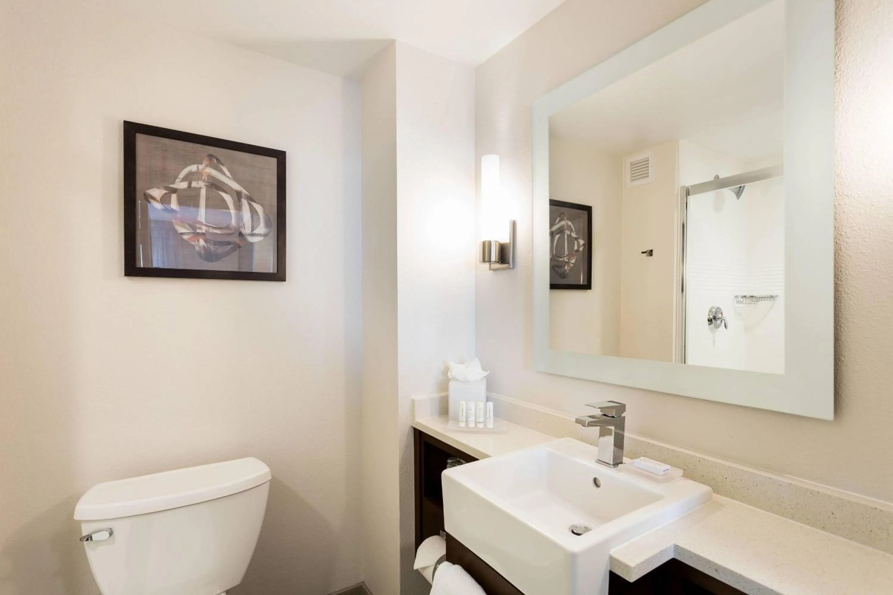 Bathroom in TownePlace Suites by Marriott San Mateo Foster City