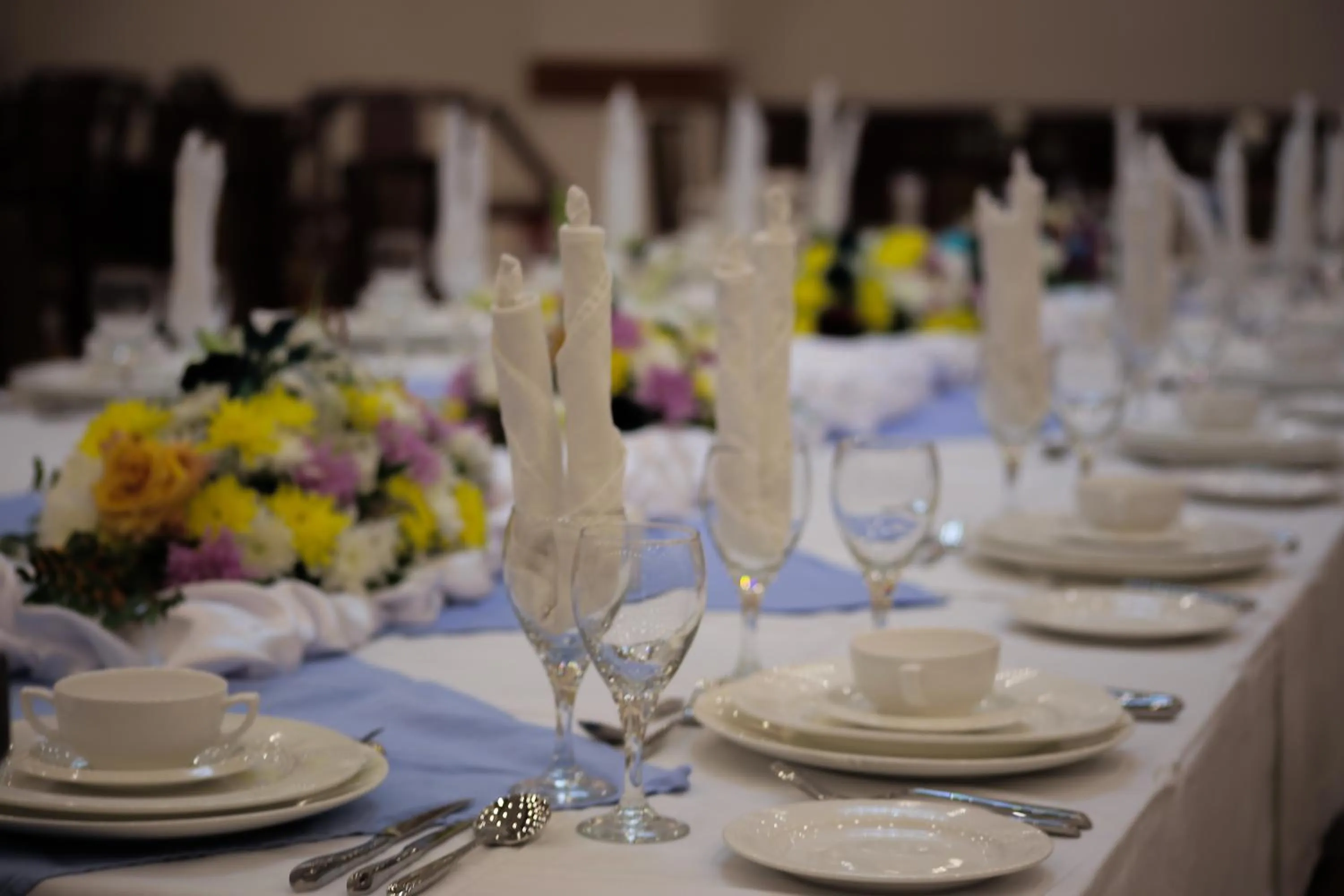 Banquet/Function facilities in Marsa Diba Hotel