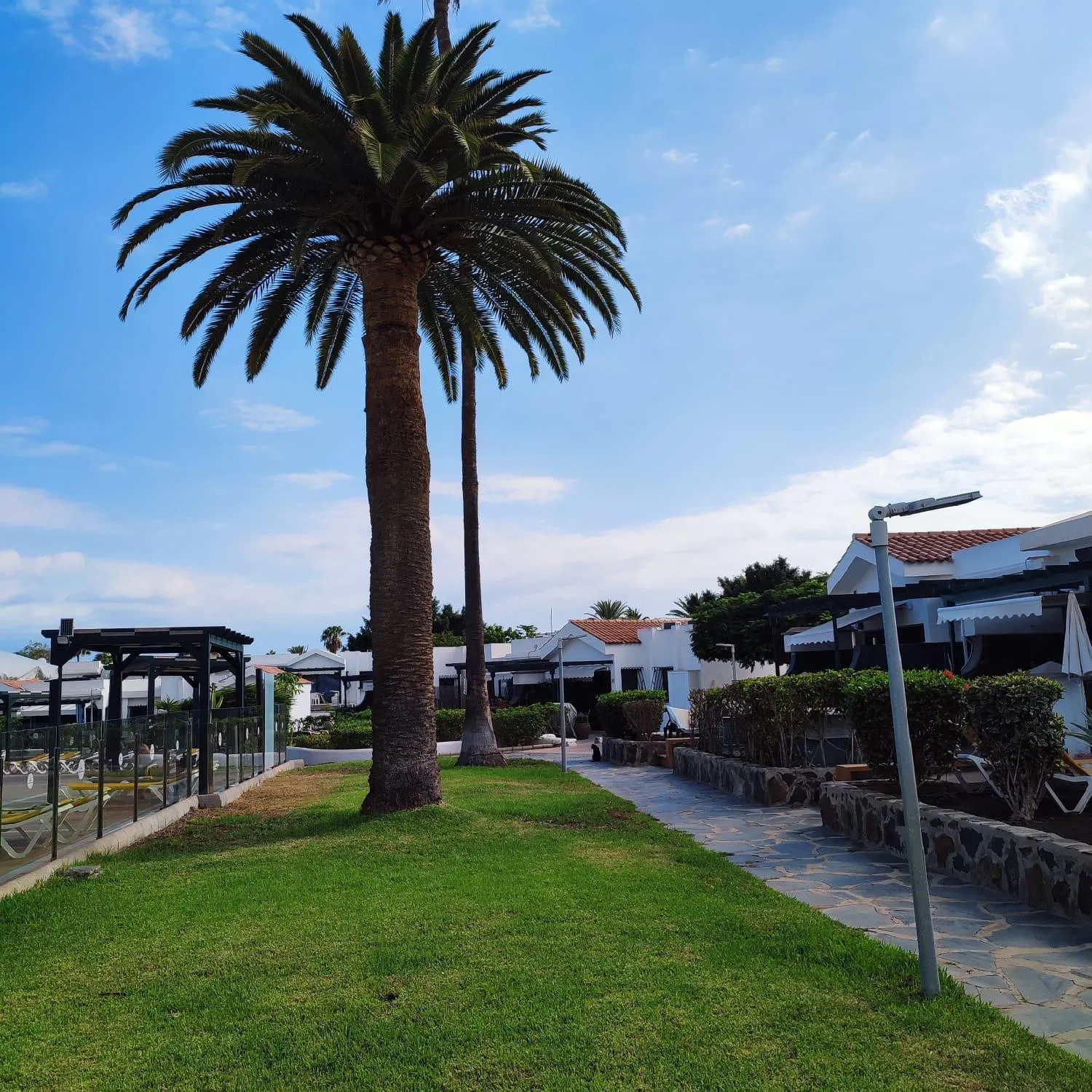 Maspalomas Lago Canary Sunset