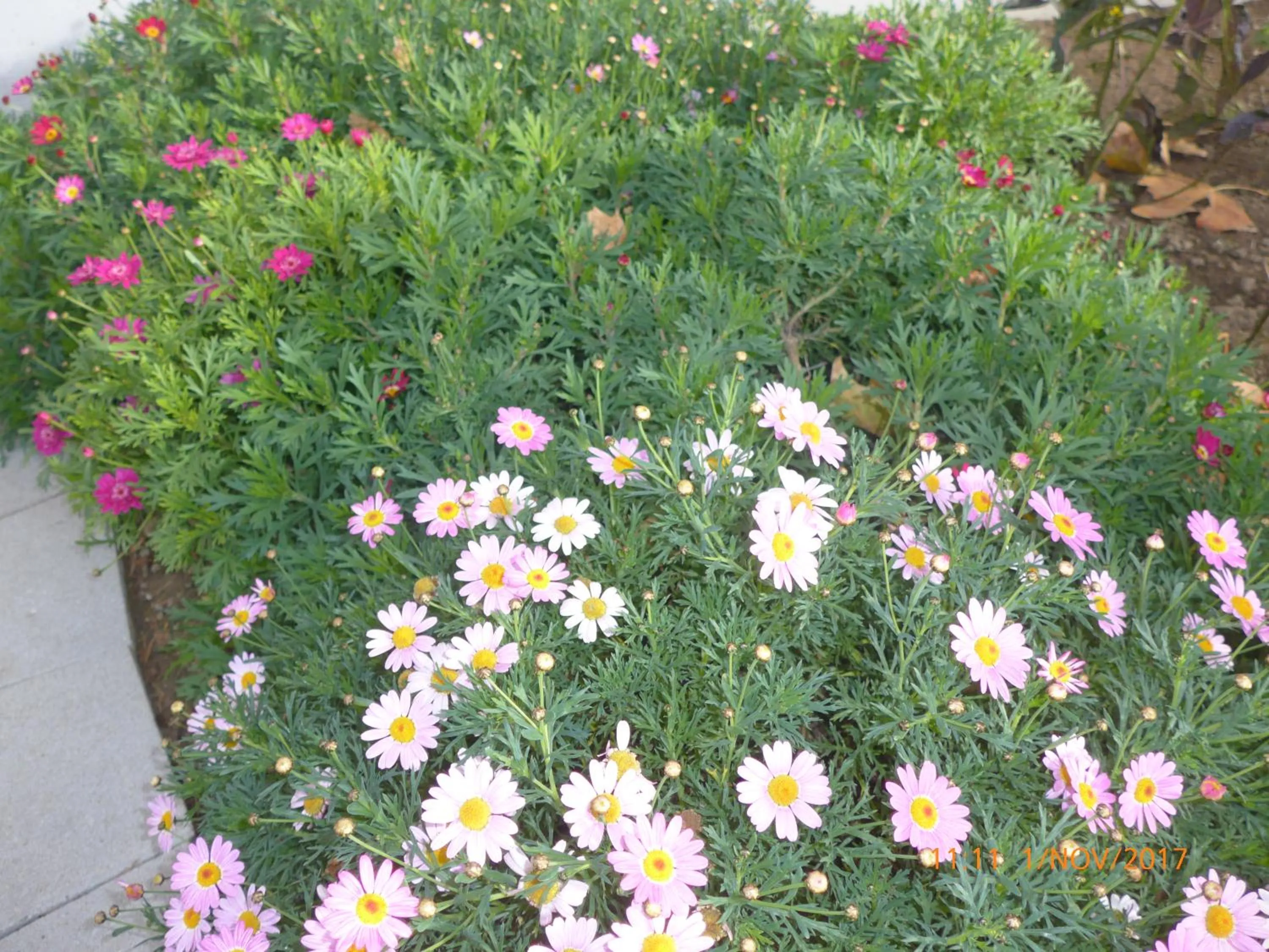 Facade/entrance in Kolpinghaus Spittal