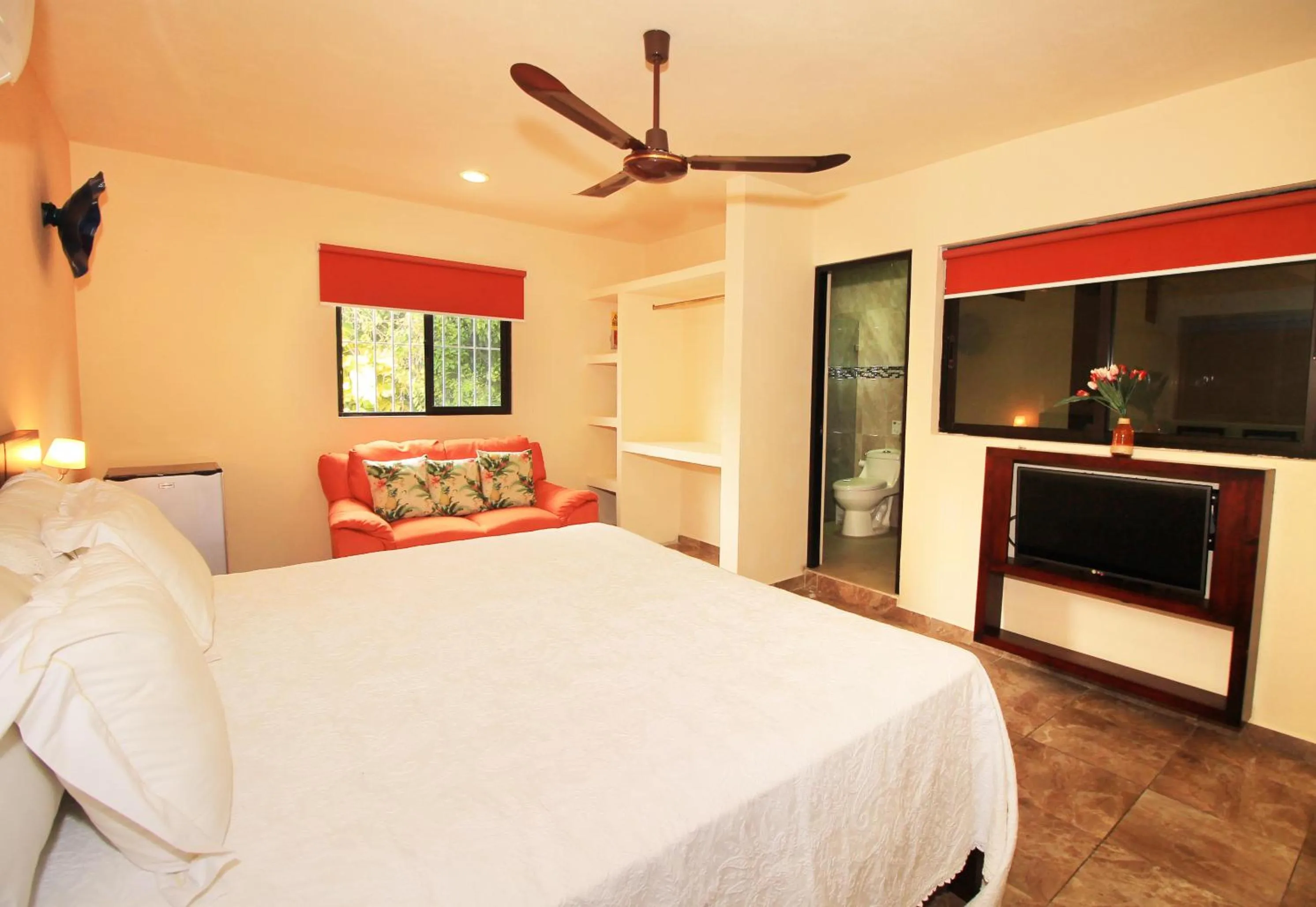 TV and multimedia in Papagayo Hotel Boutique