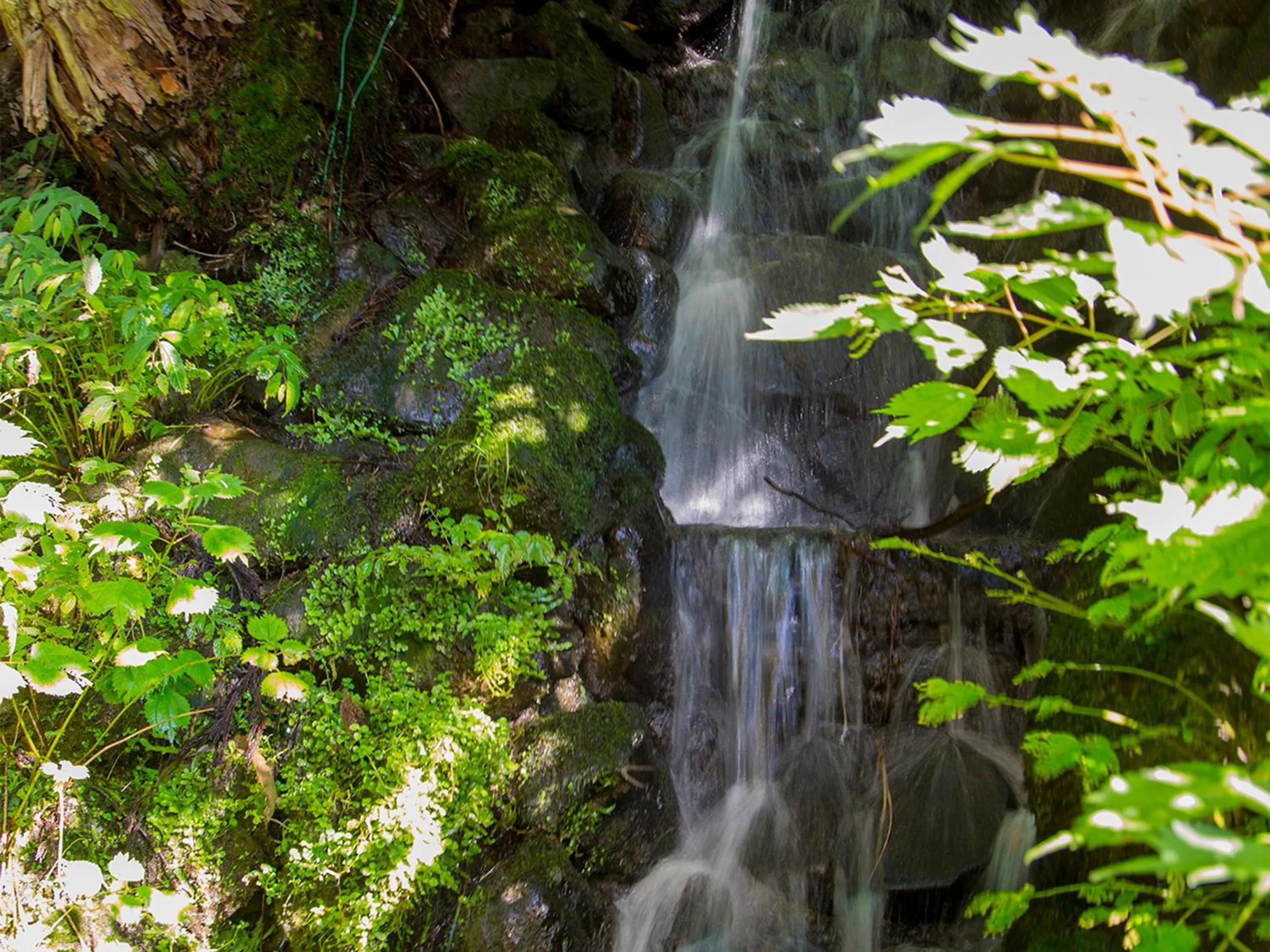 Off site in Oyado Fubuki