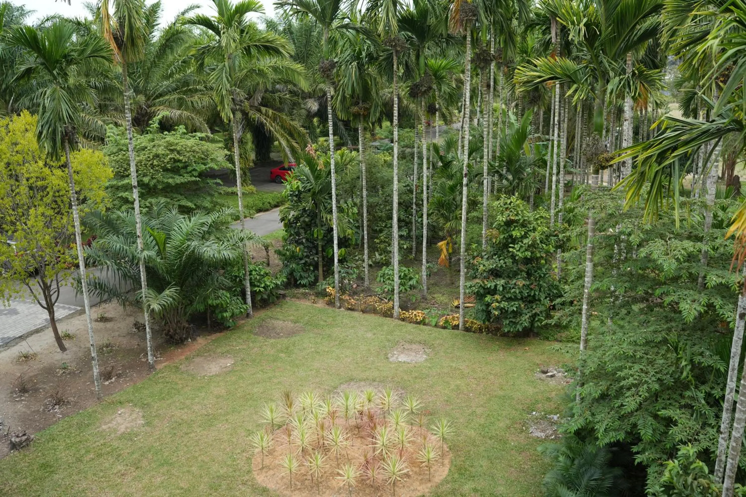 Garden in Palm Era Resorts