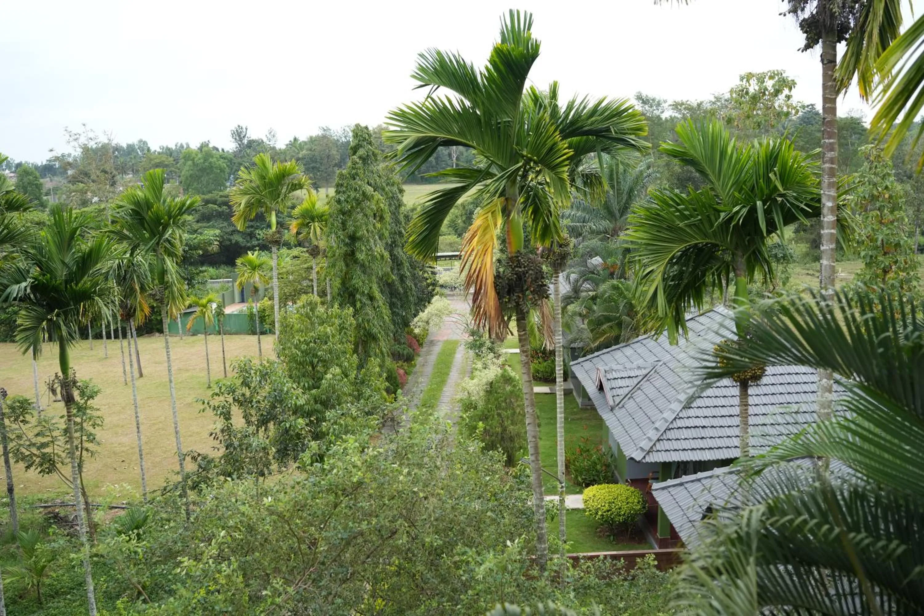 Garden view in Palm Era Resorts