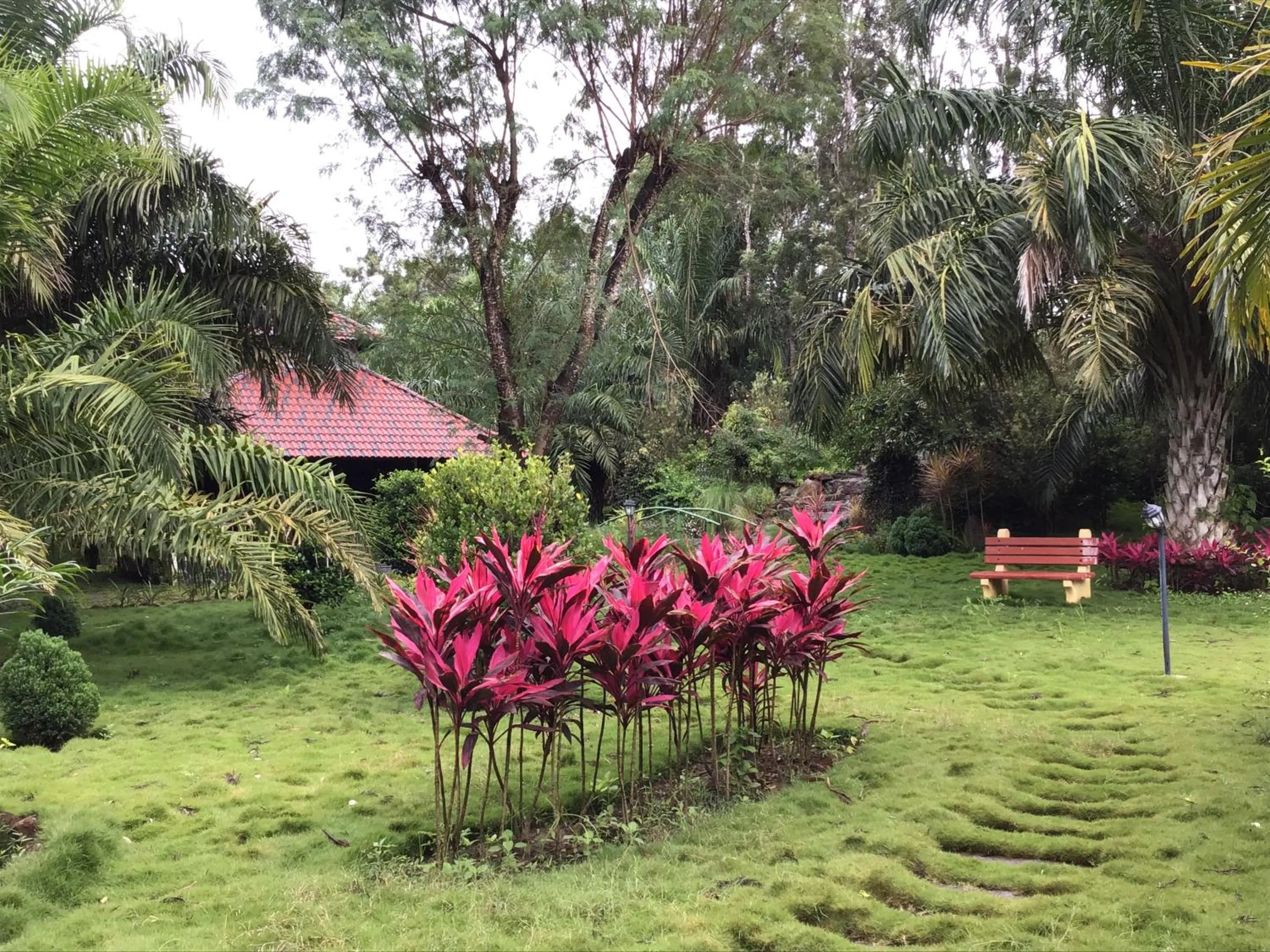 Garden in Palm Era Resorts