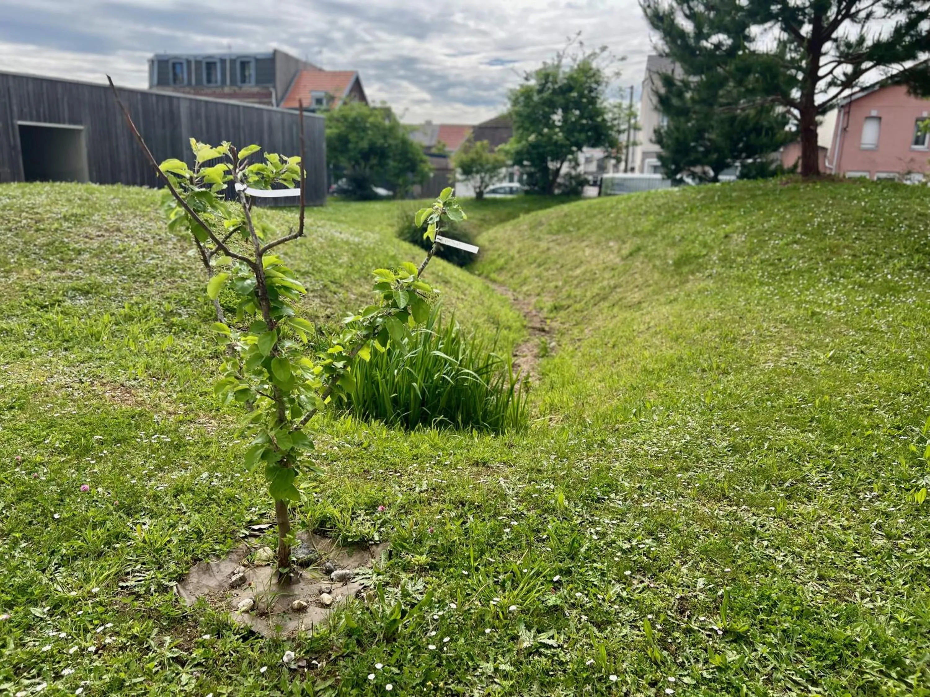 Garden in Premiere Classe Le Havre Centre-LES DOCKS
