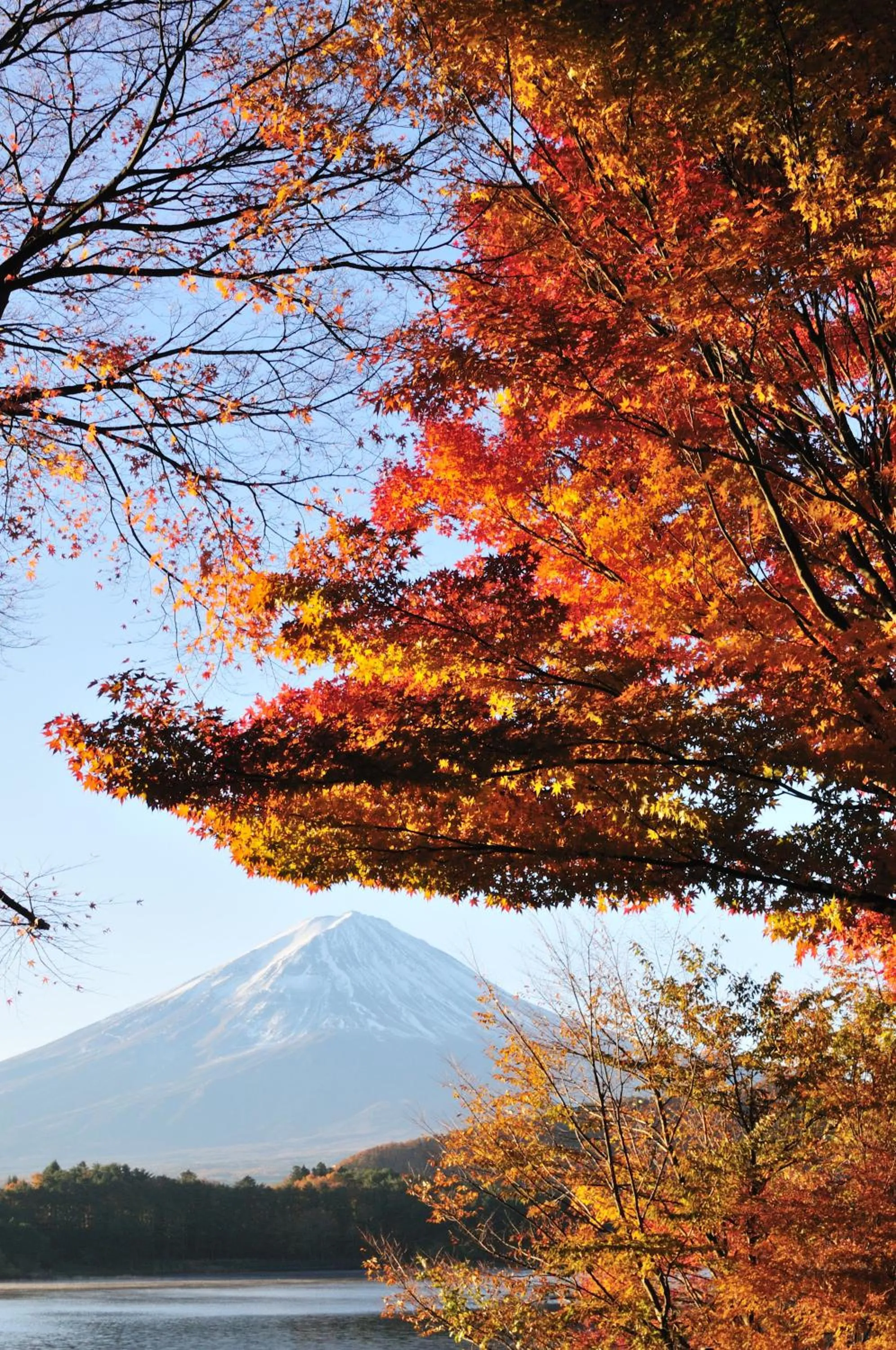 Autumn in La Vista Fujikawaguchiko