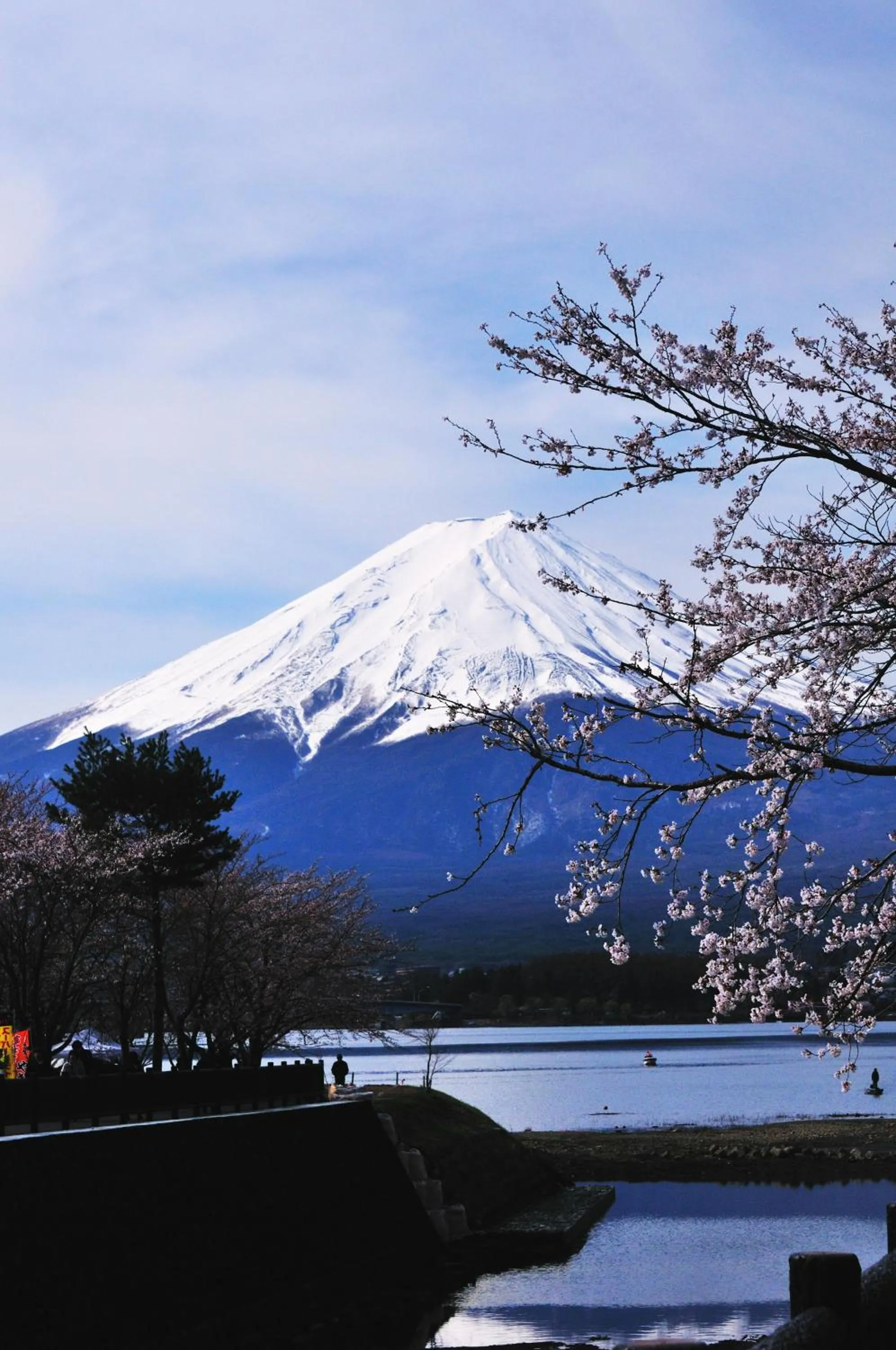 View (from property/room) in La Vista Fujikawaguchiko