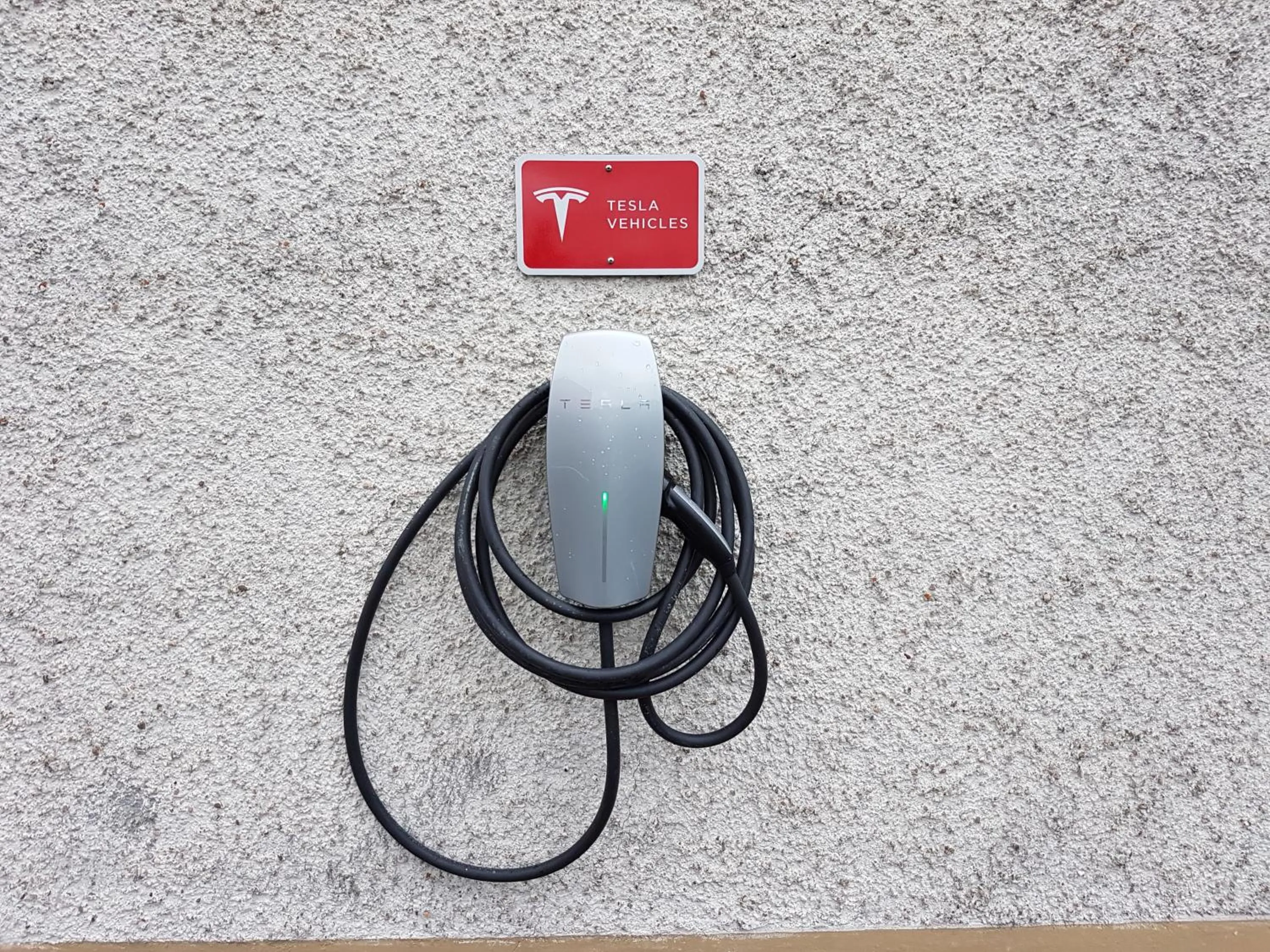 Area and facilities in Hotel Meyer