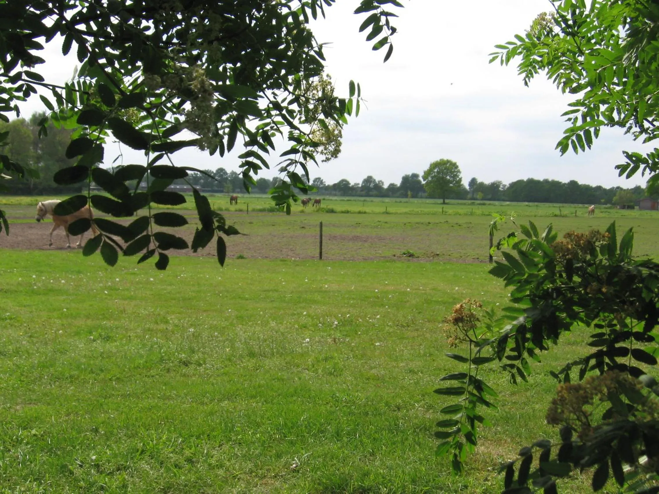 Natural landscape in De Zandkant