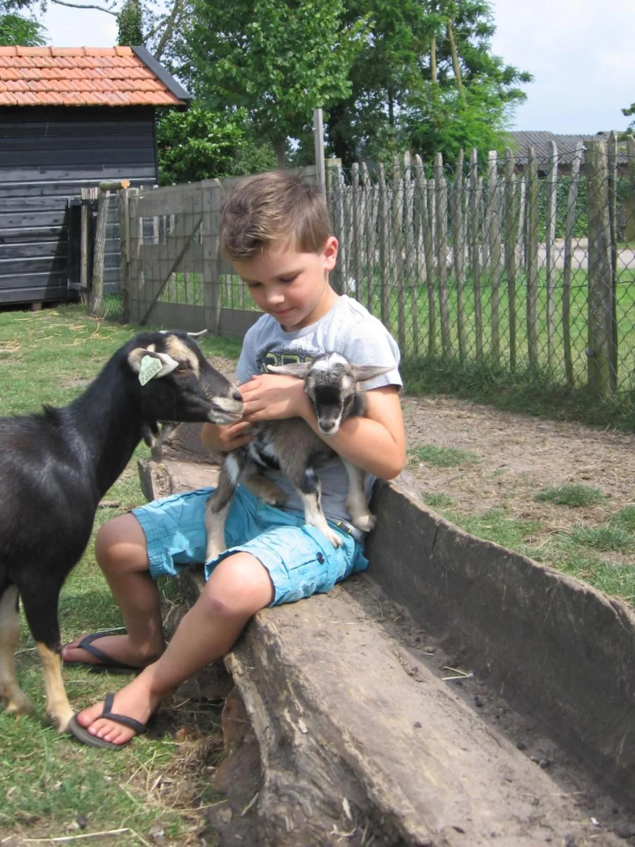 Pets in De Zandkant