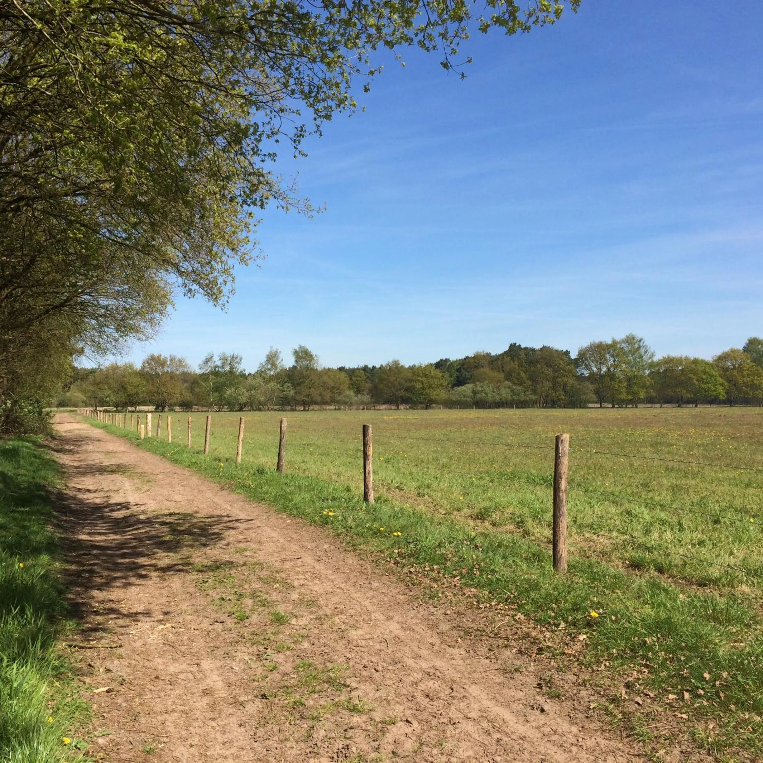 Natural landscape in De Zandkant