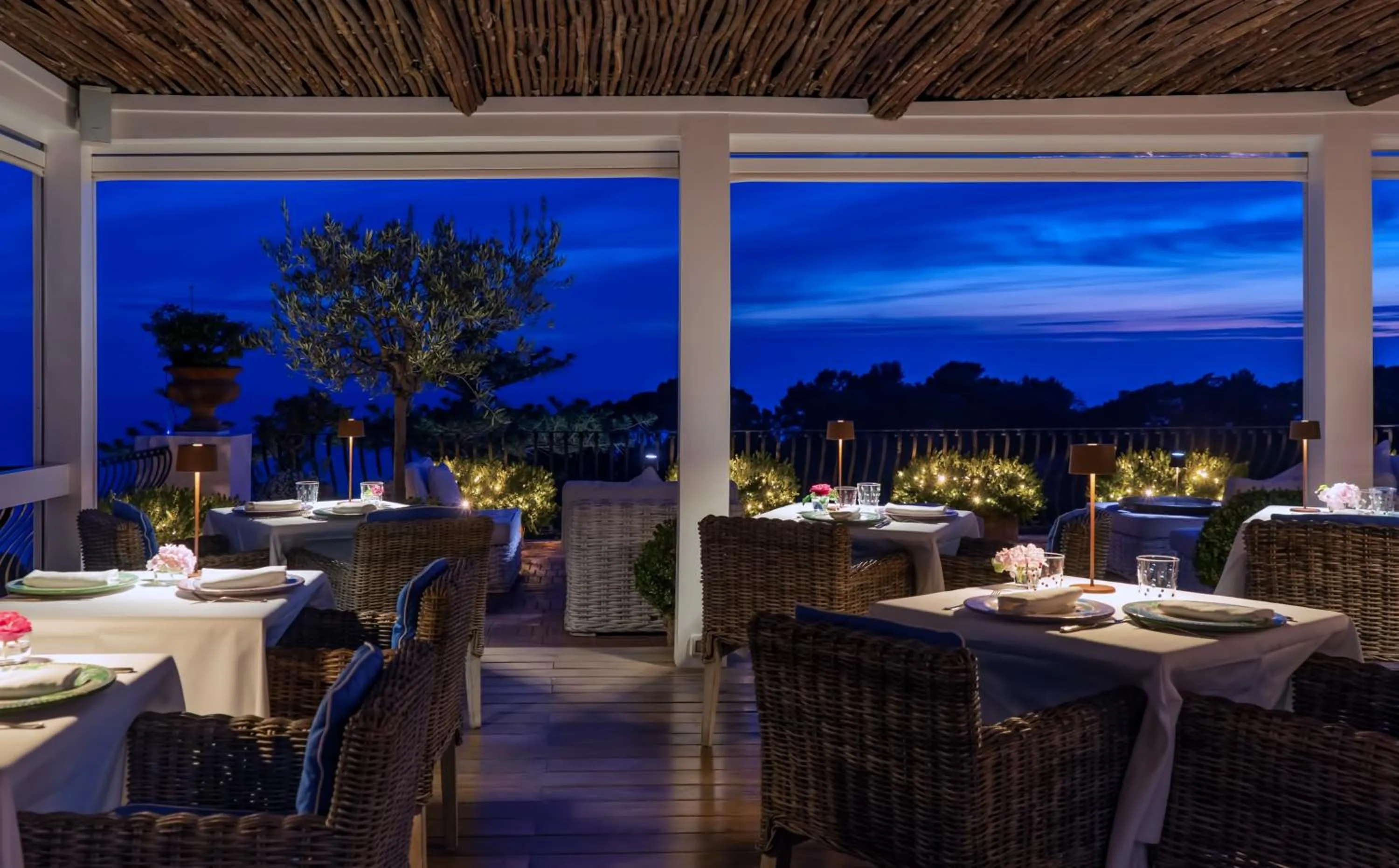 Restaurant/places to eat in Hotel La Minerva