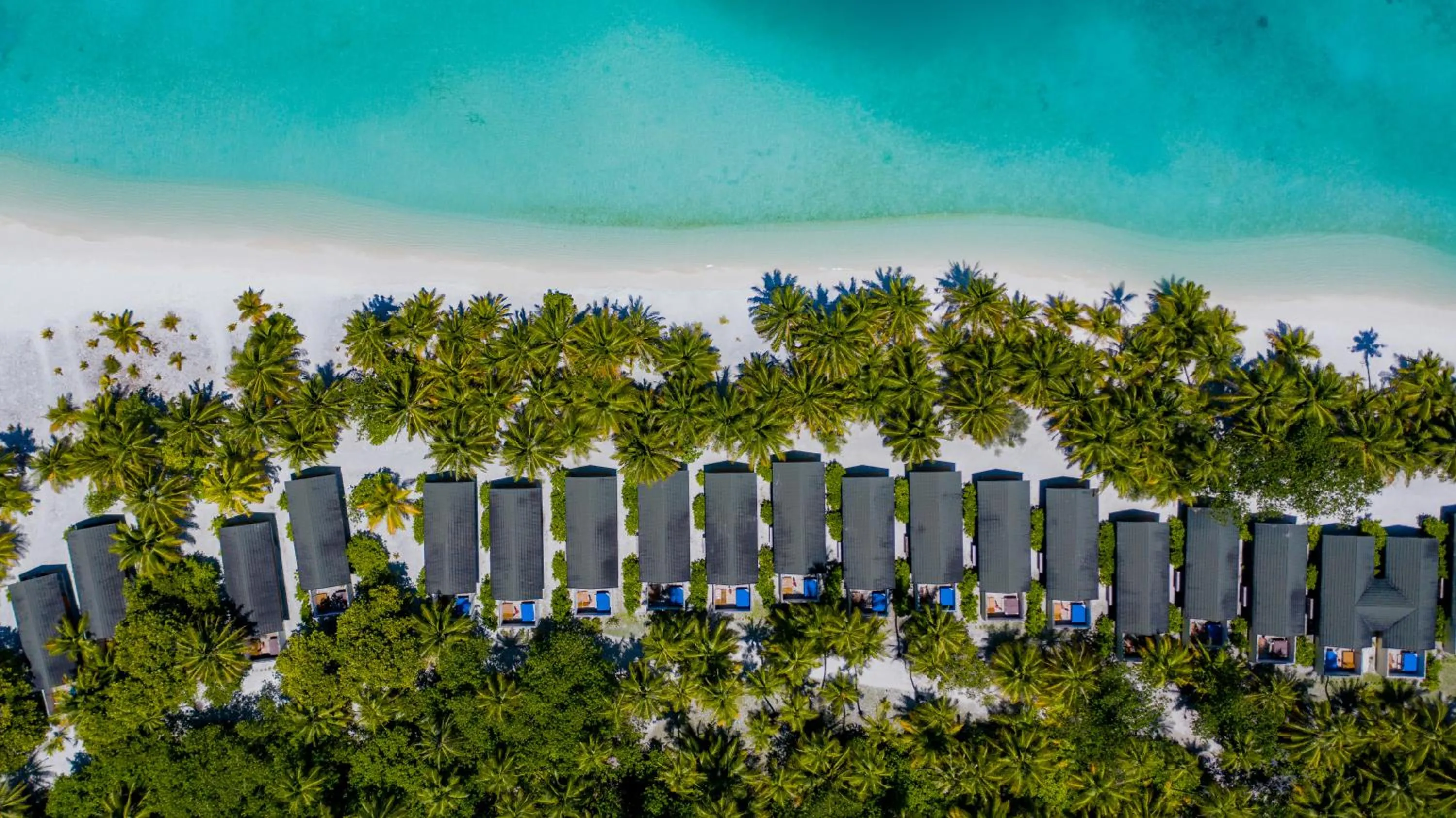 Natural landscape in Meeru Maldives Resort Island