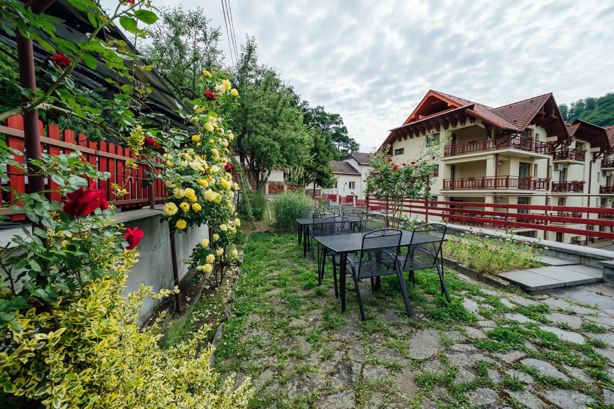 Garden in Pensiunea Comfort