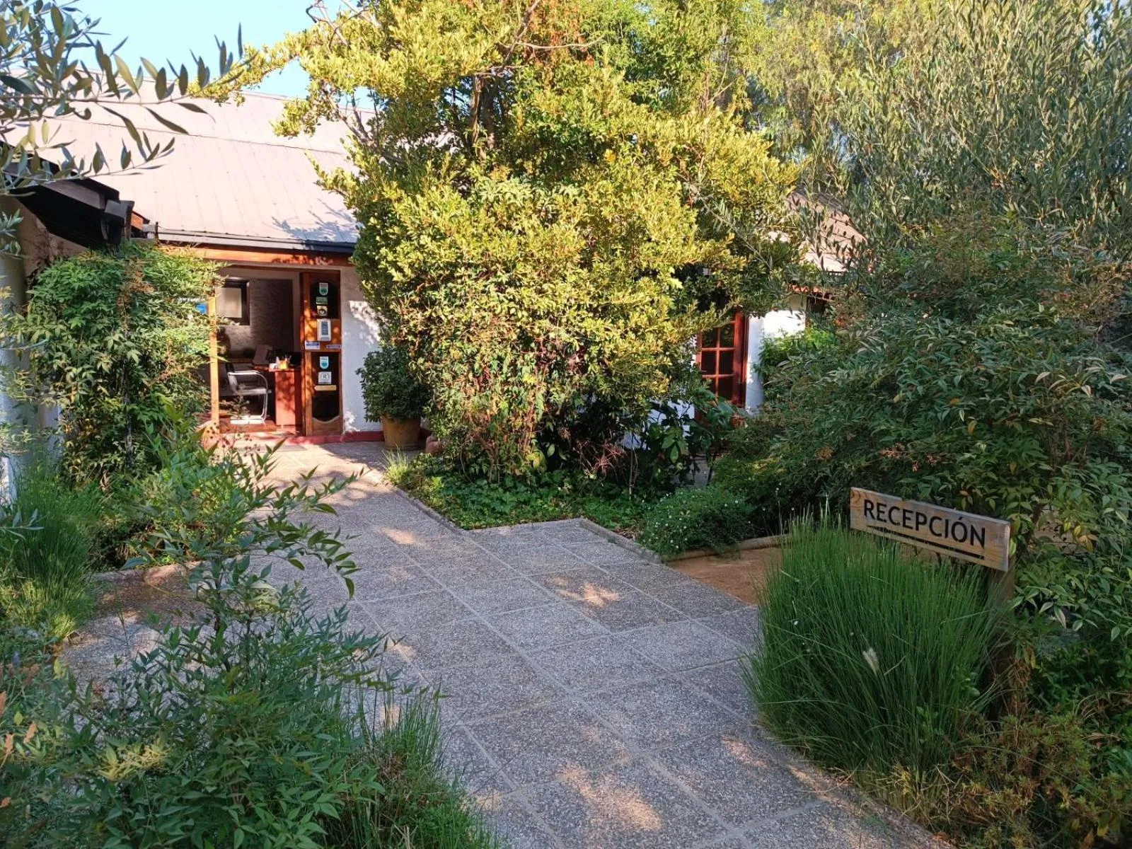 Property building in Casa Calfu