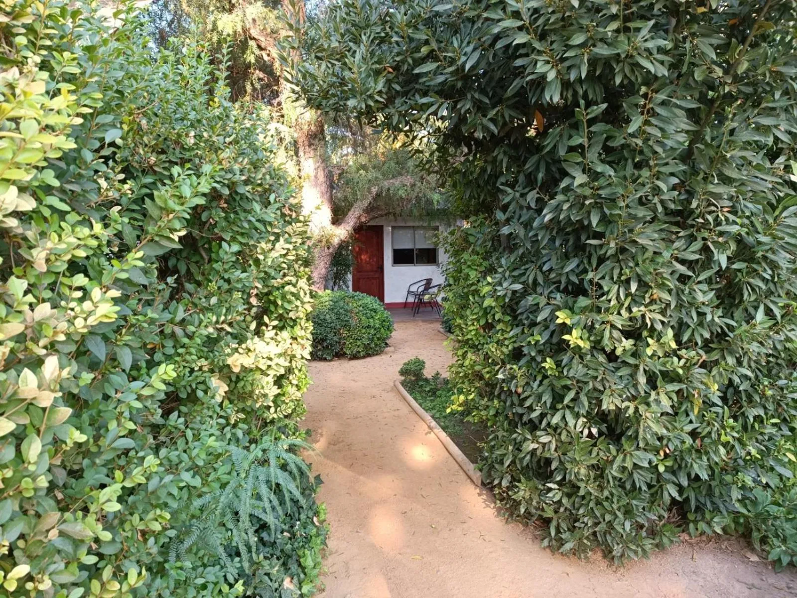 Garden view in Casa Calfu