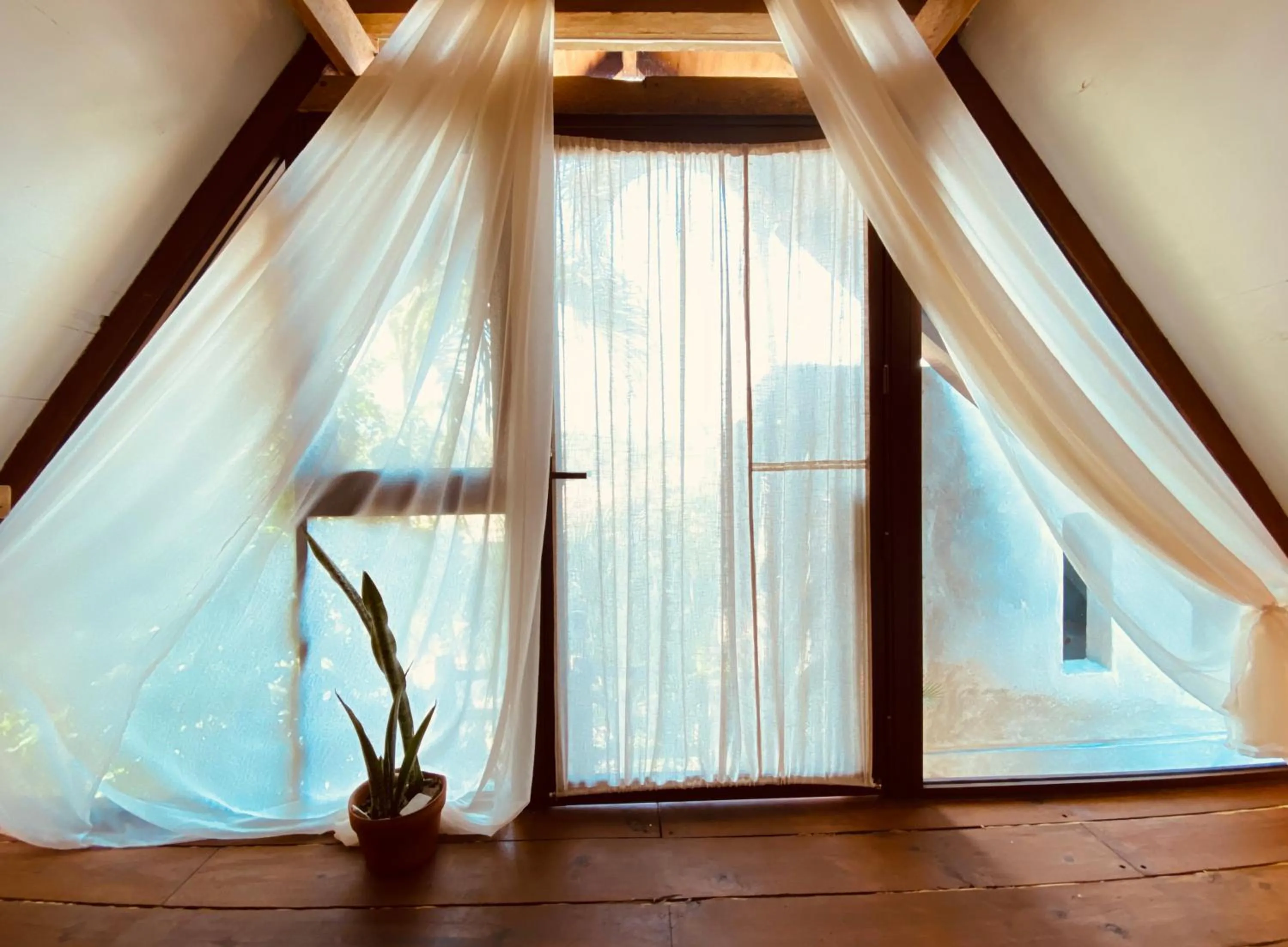 A&V Hotel Boutique