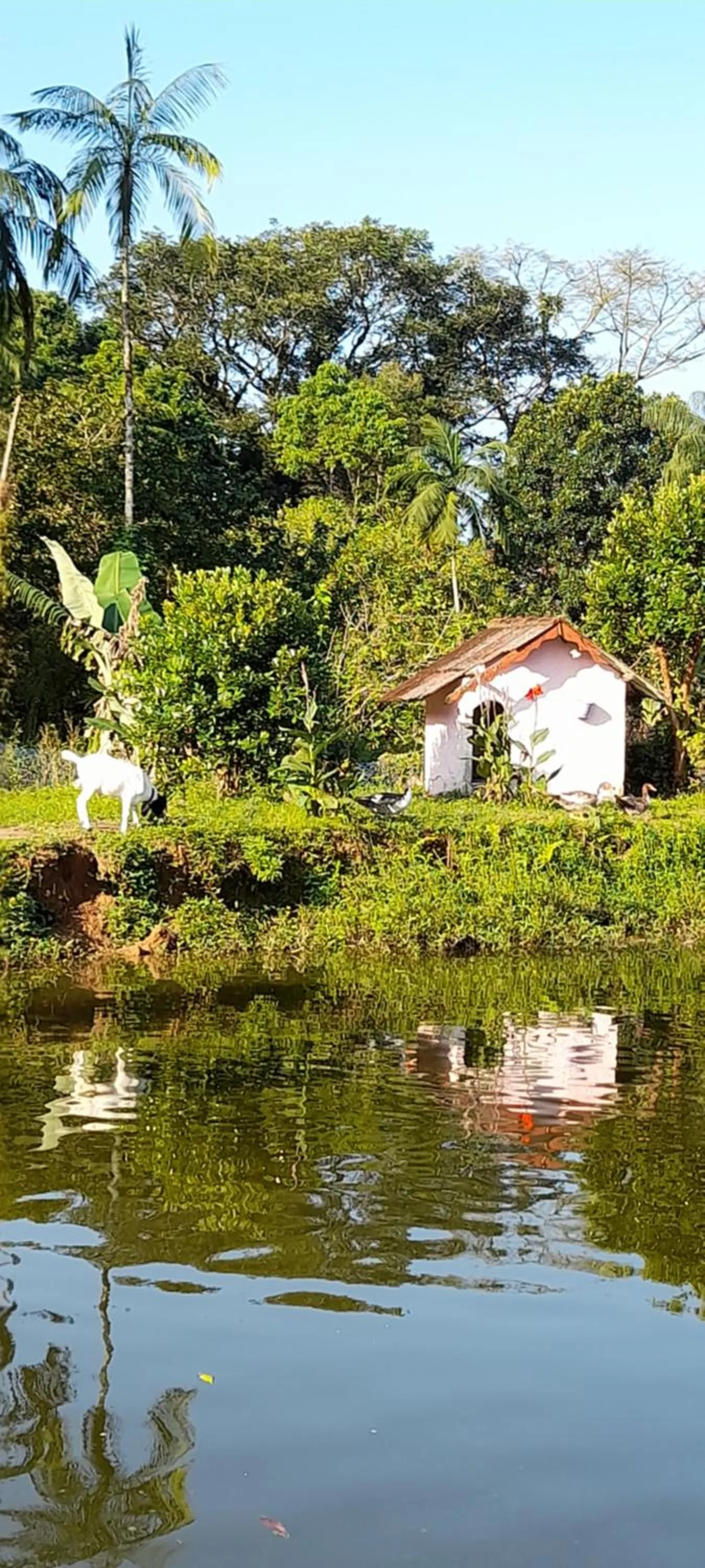 Pousada Ecológica Cavalo de Pedra