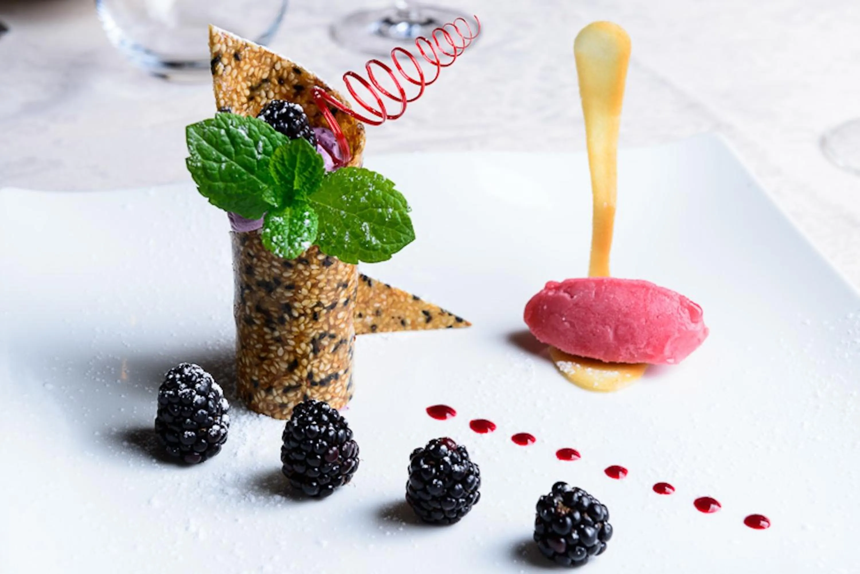 Food close-up in Domaine de la Forêt