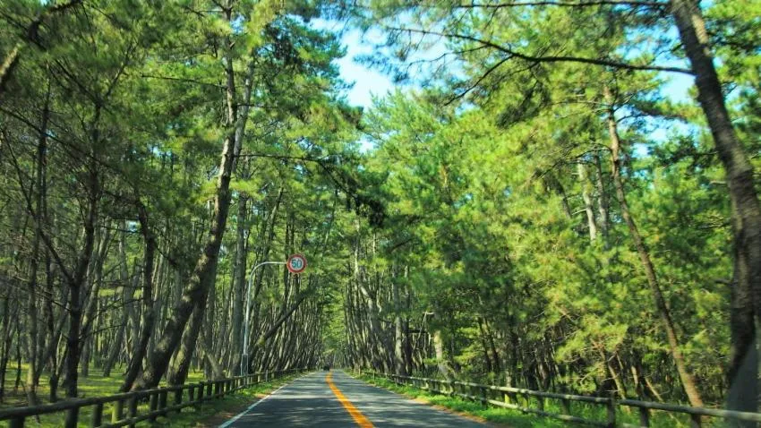 Nearby landmark in Sea Style Resort OCEAN