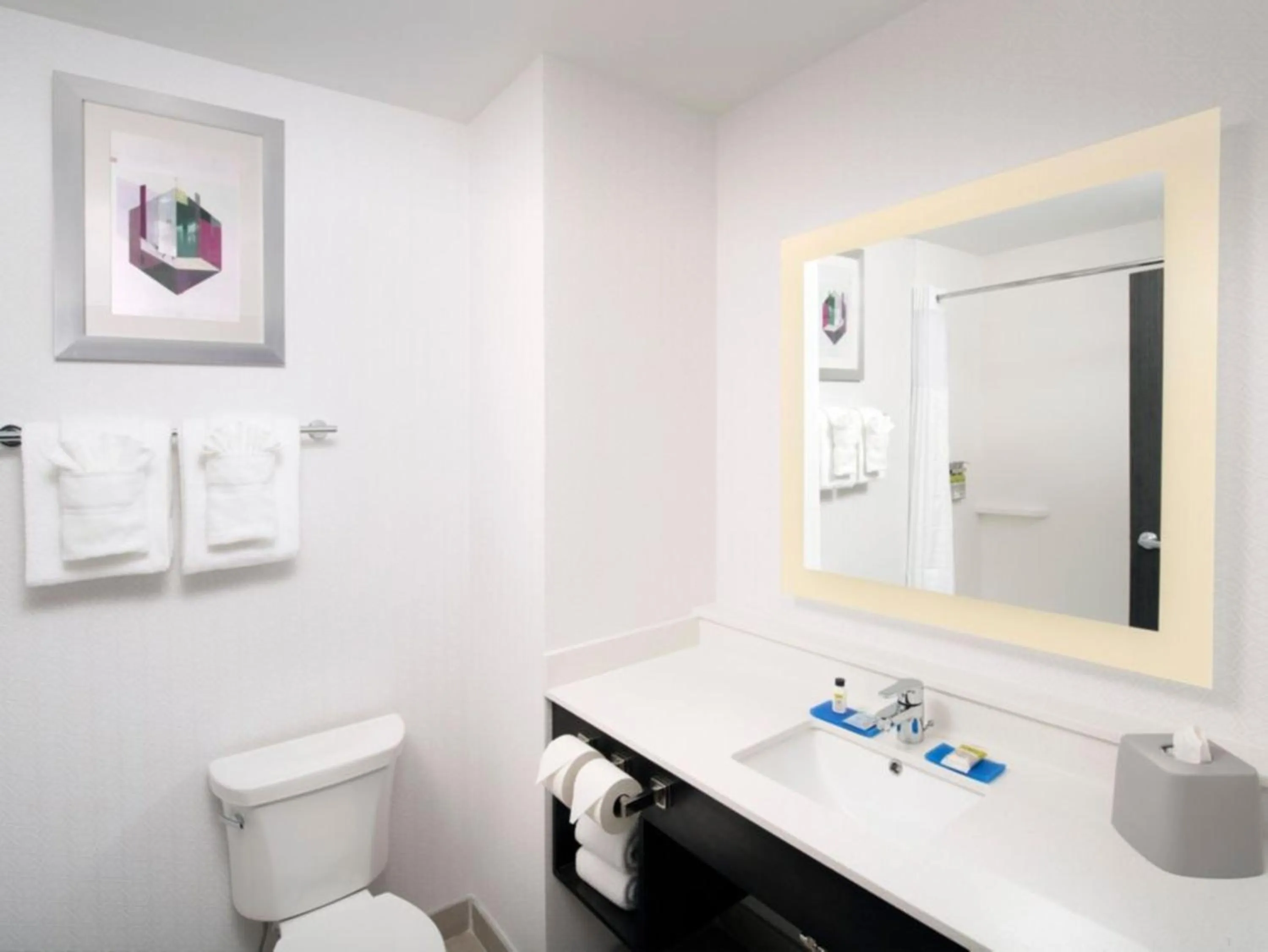 Bathroom in Holiday Inn Express Pensacola Downtown by IHG