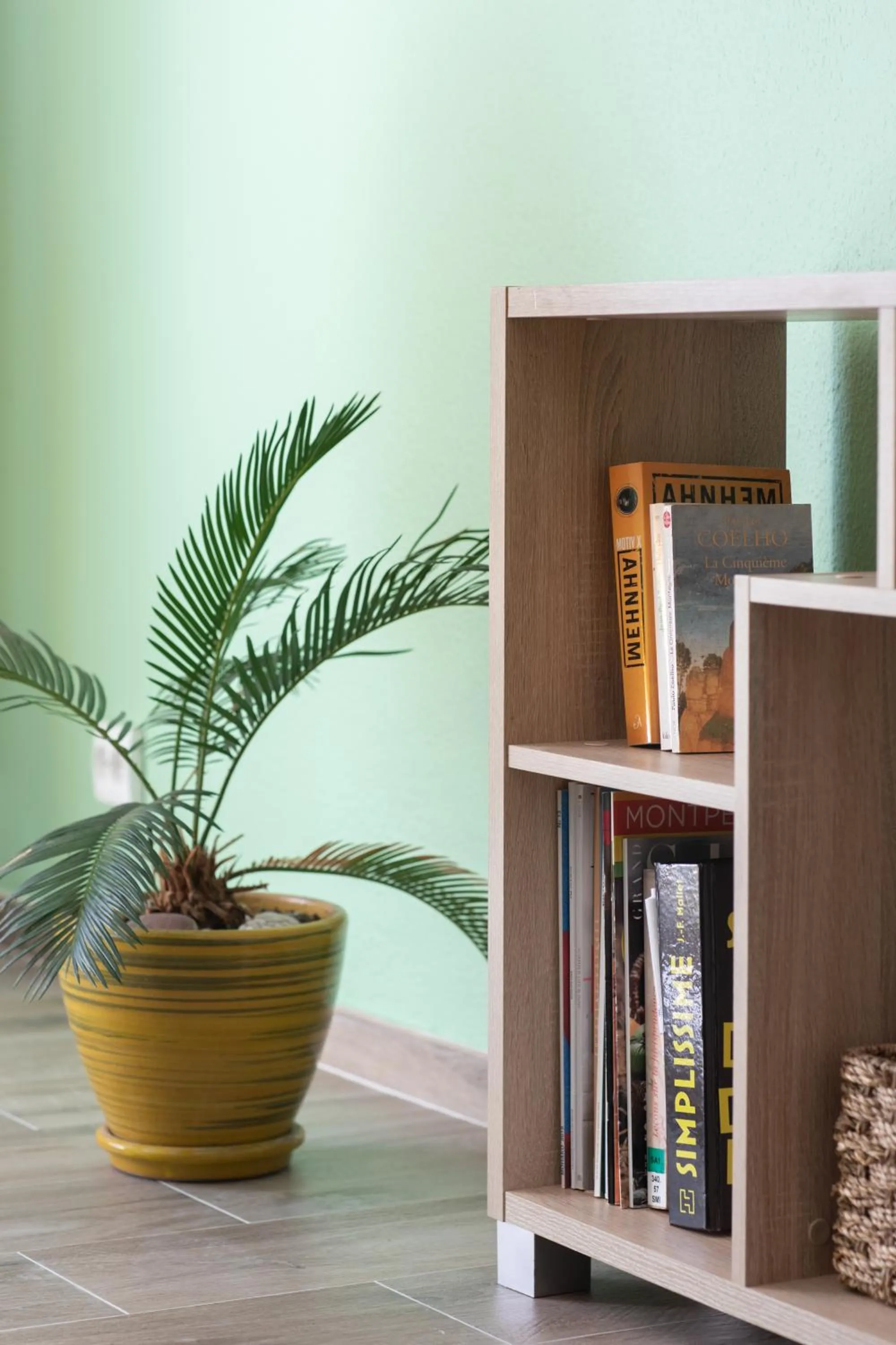 Library in Cosy apartment Promenade des Anglais