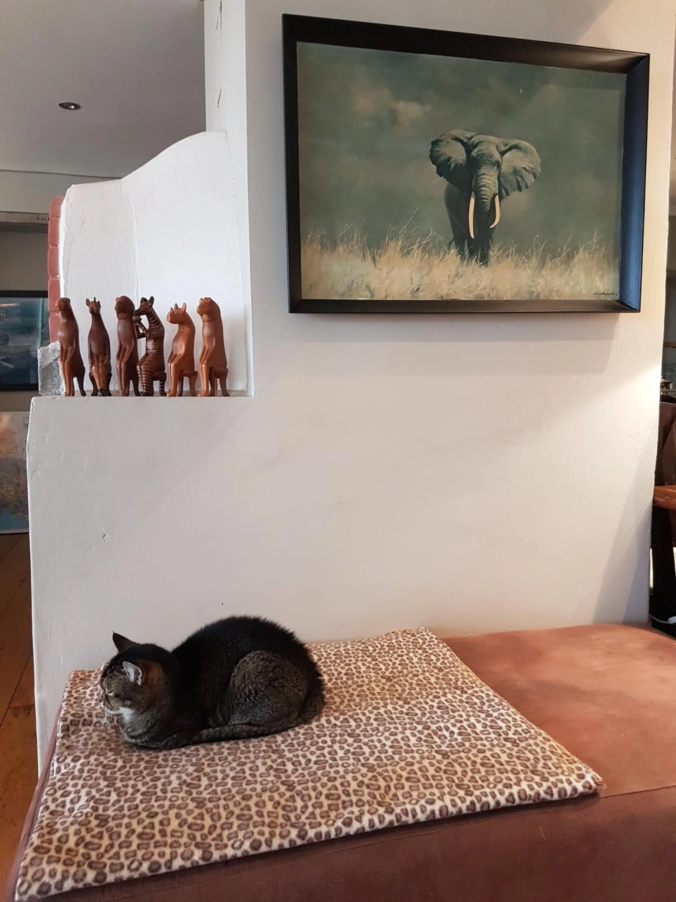 Pets in Victorskloof Lodge