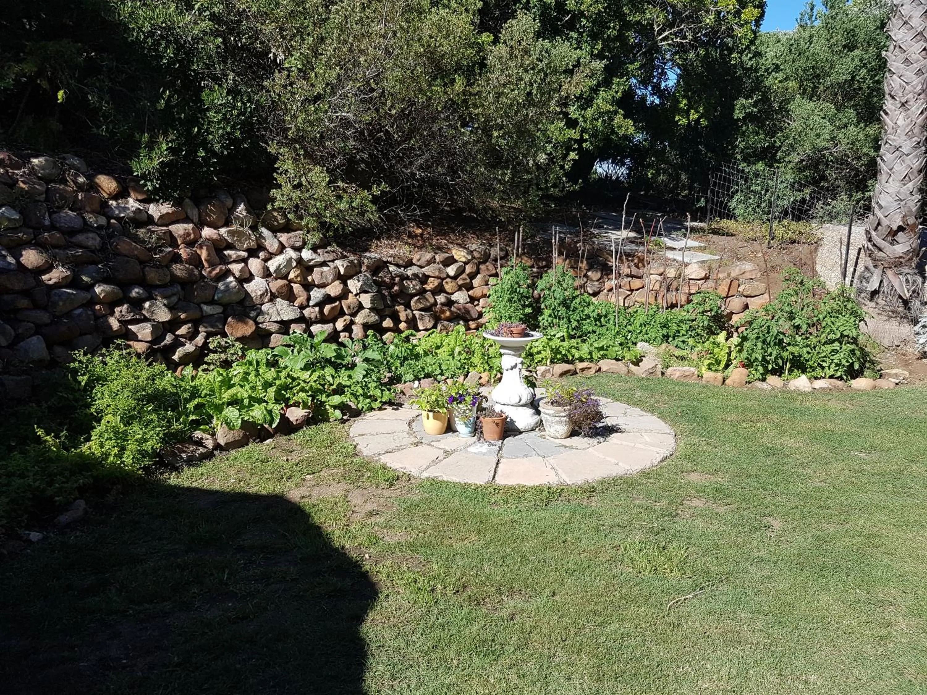 Garden in Victorskloof Lodge