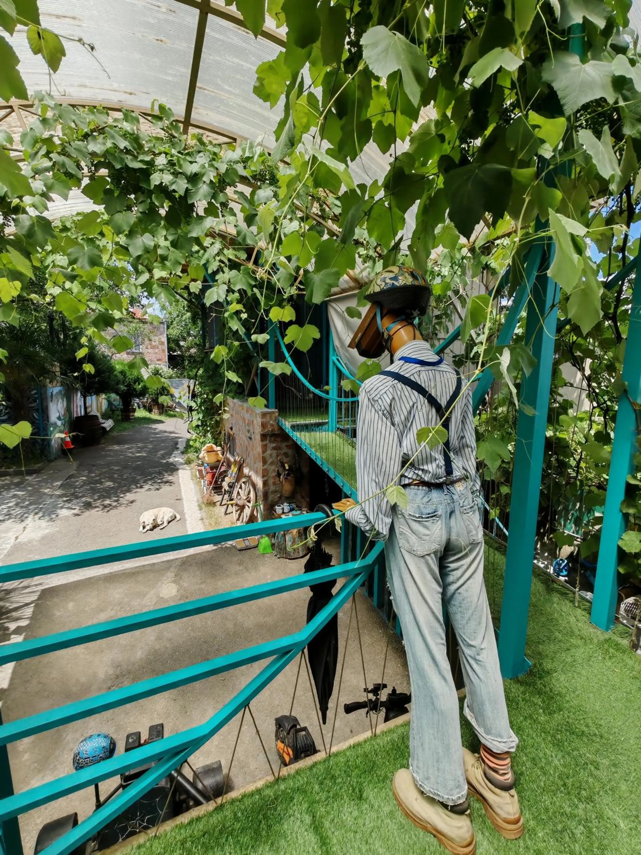 Natural landscape in Qilimcha's Guesthouse-Art Museum