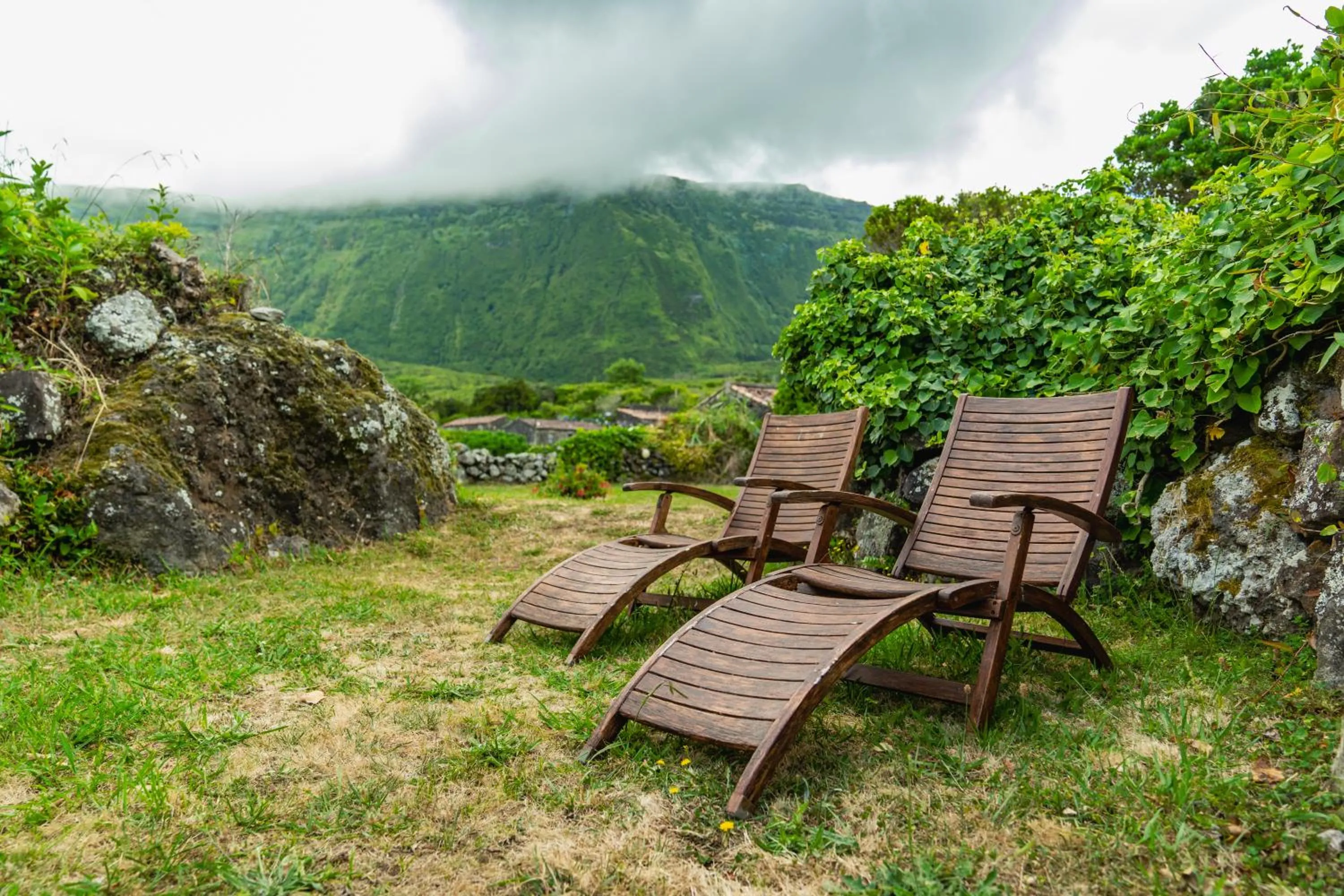 Garden in Aldeia da Cuada