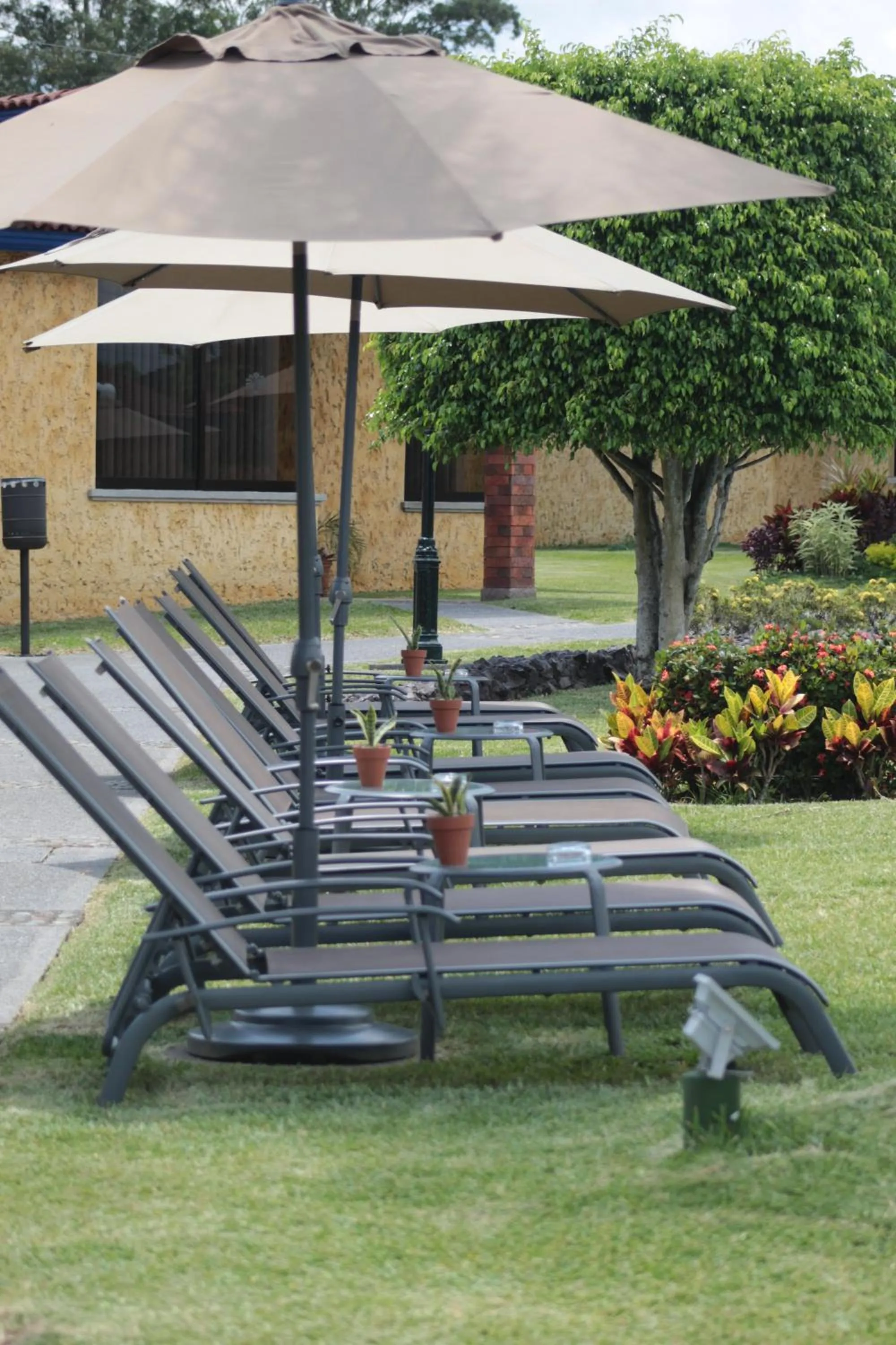 Garden in Villas Layfer, Córdoba, Veracruz, Mexico