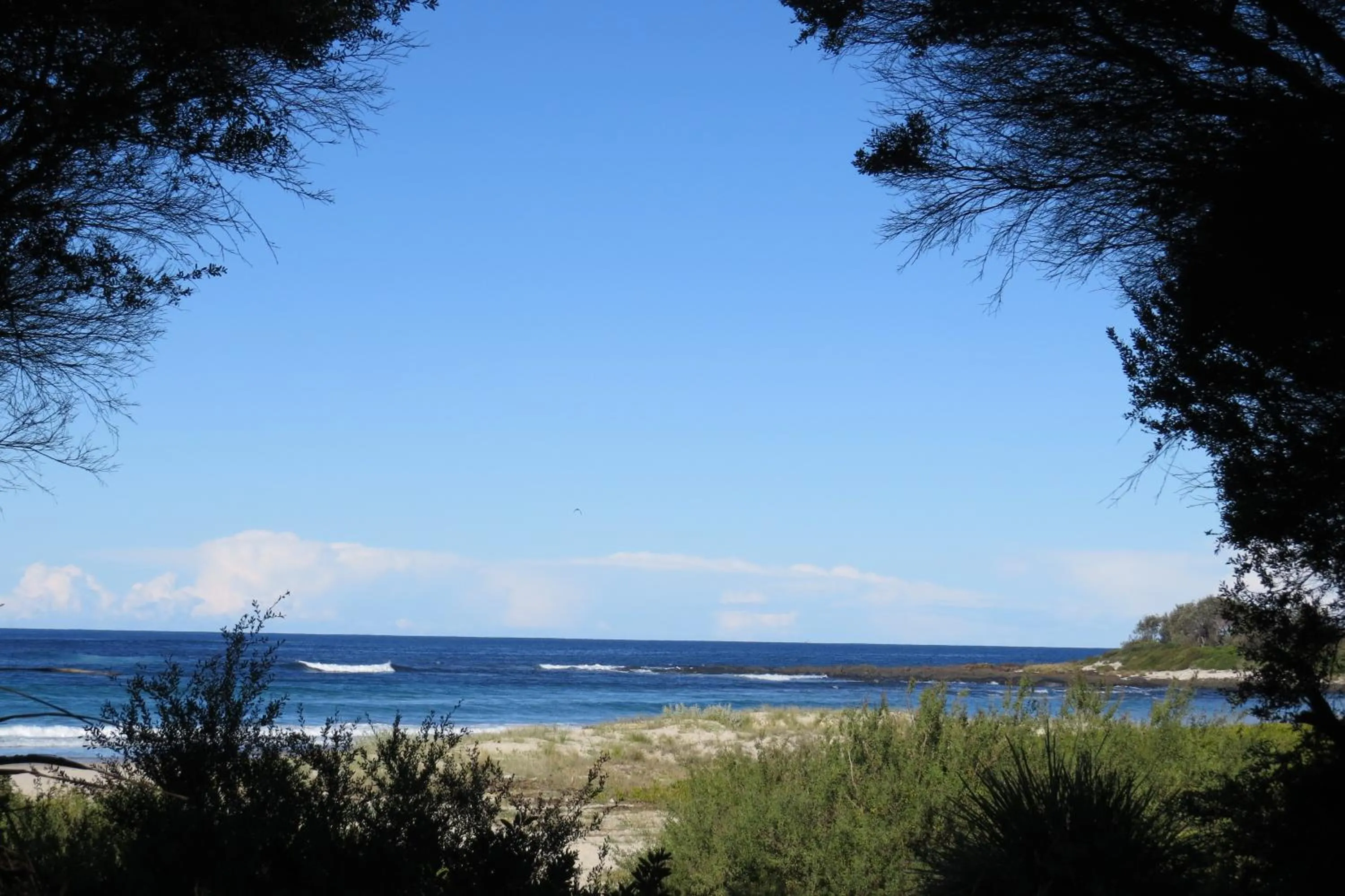 Beach in BIG4 Tasman Holiday Parks - Racecourse Beach