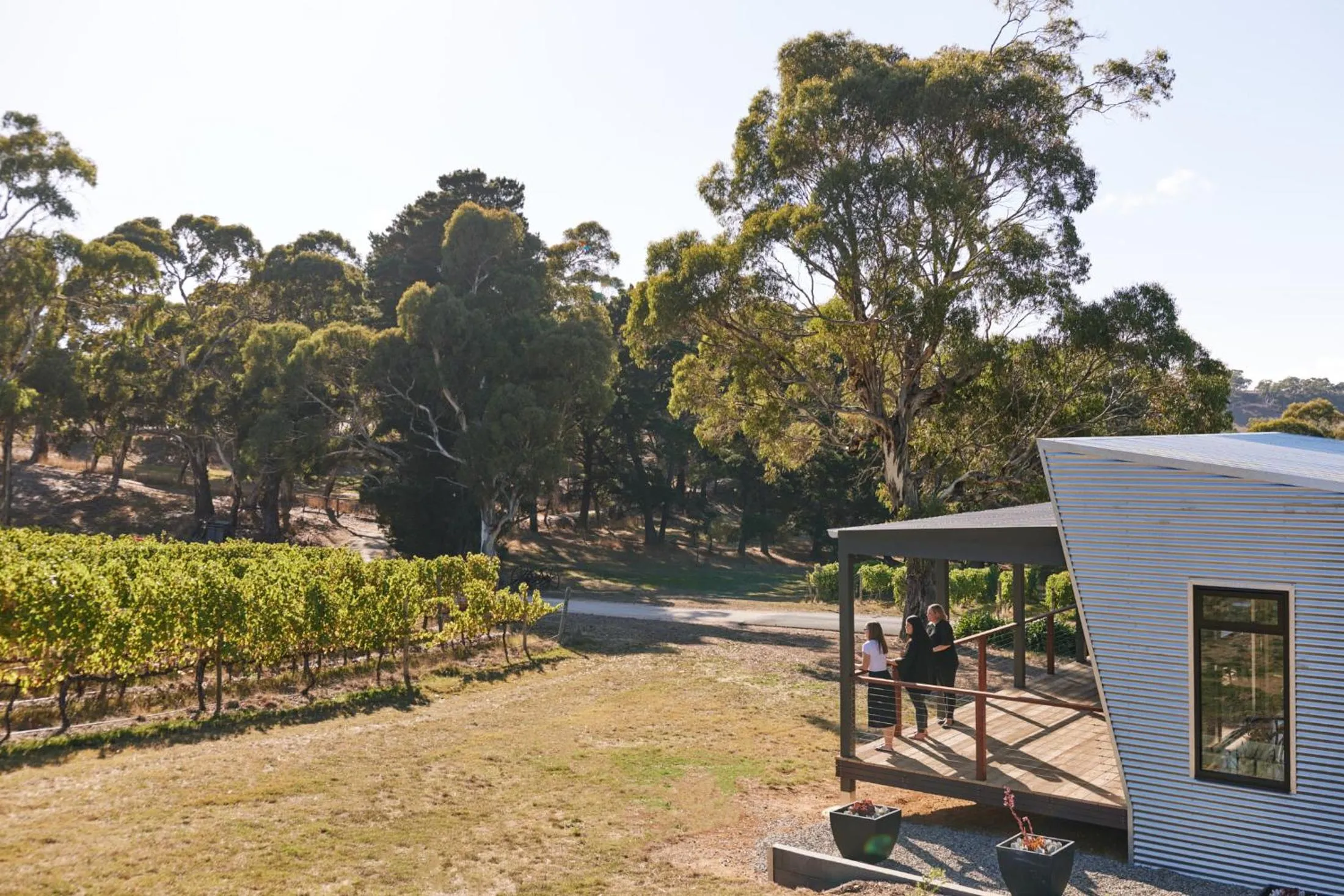 View (from property/room) in Longview Vineyard