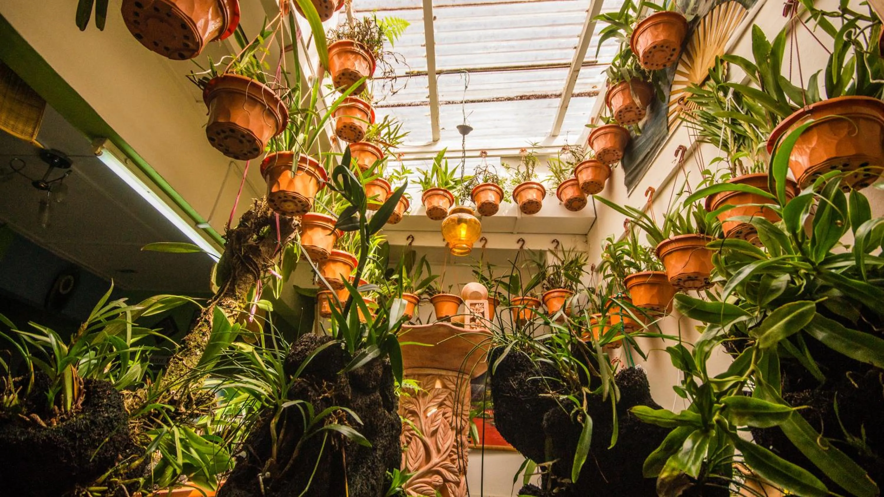 Living room in Orchid Haven