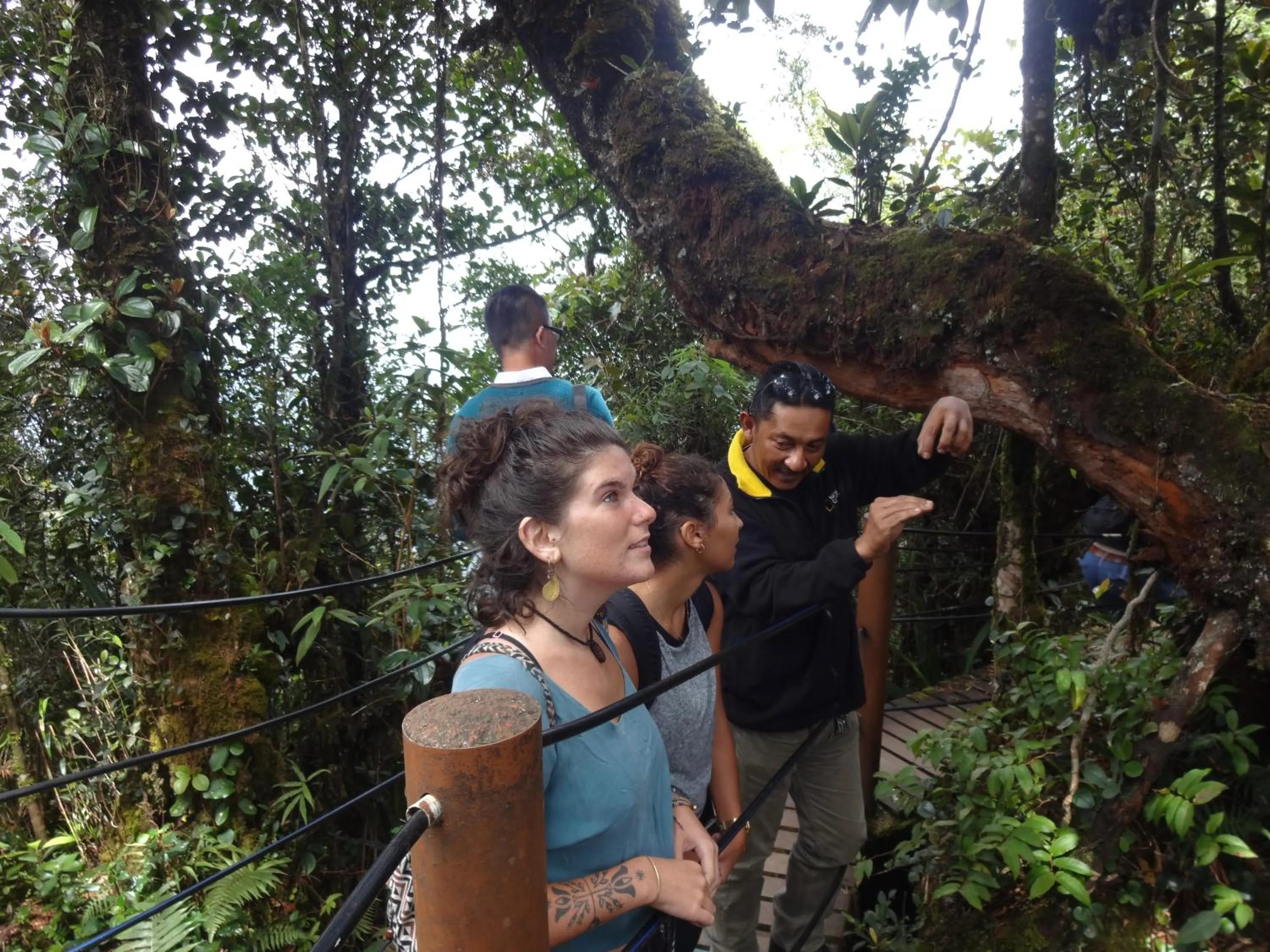 Activities in Orchid Haven