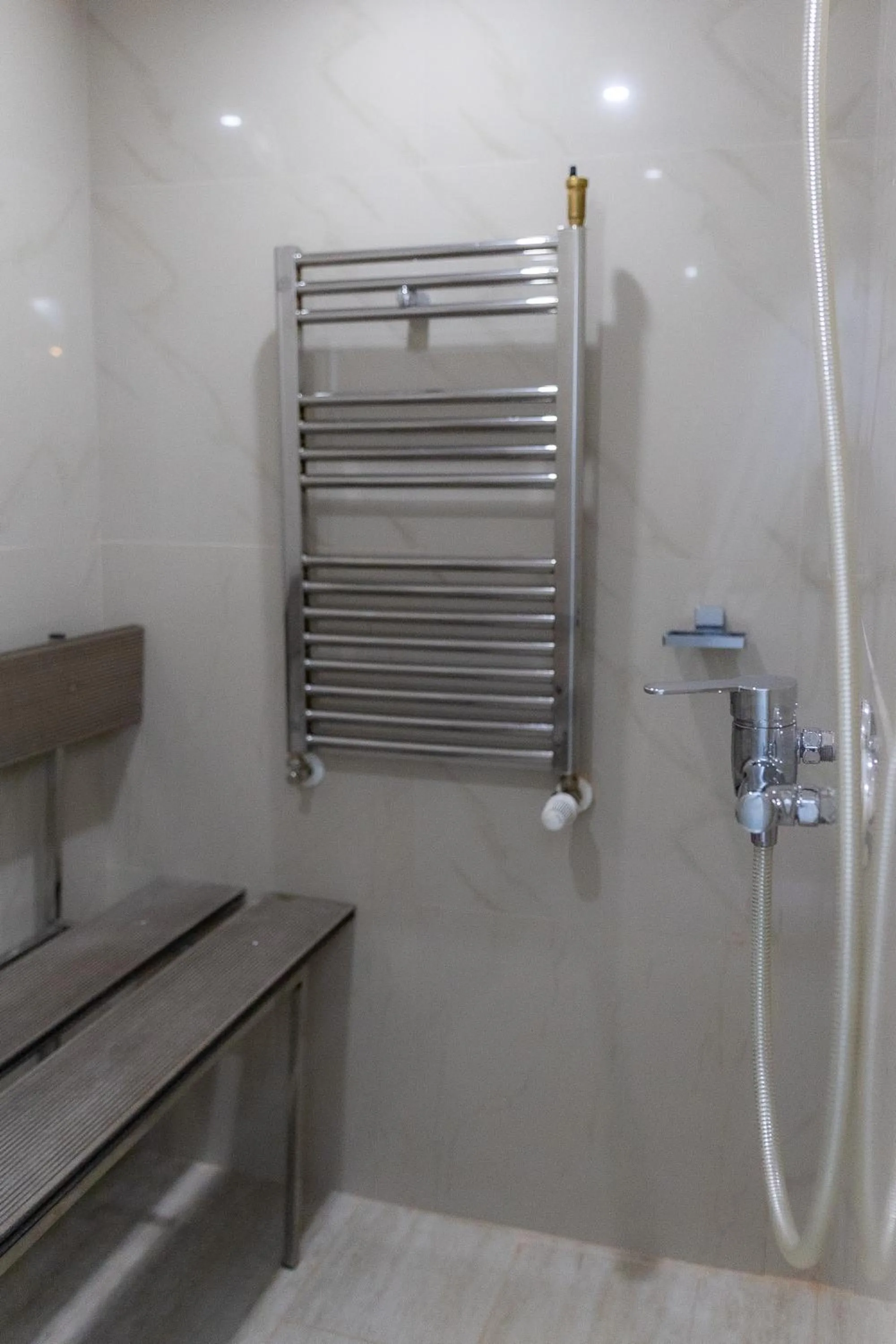 Shower in Hotel Christina Plus