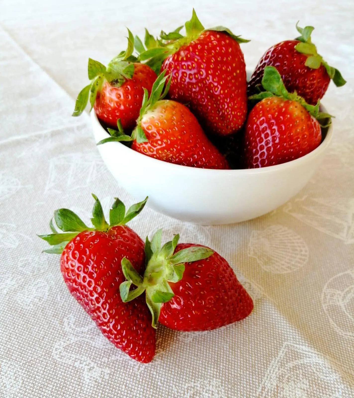 Food close-up in Il Murice