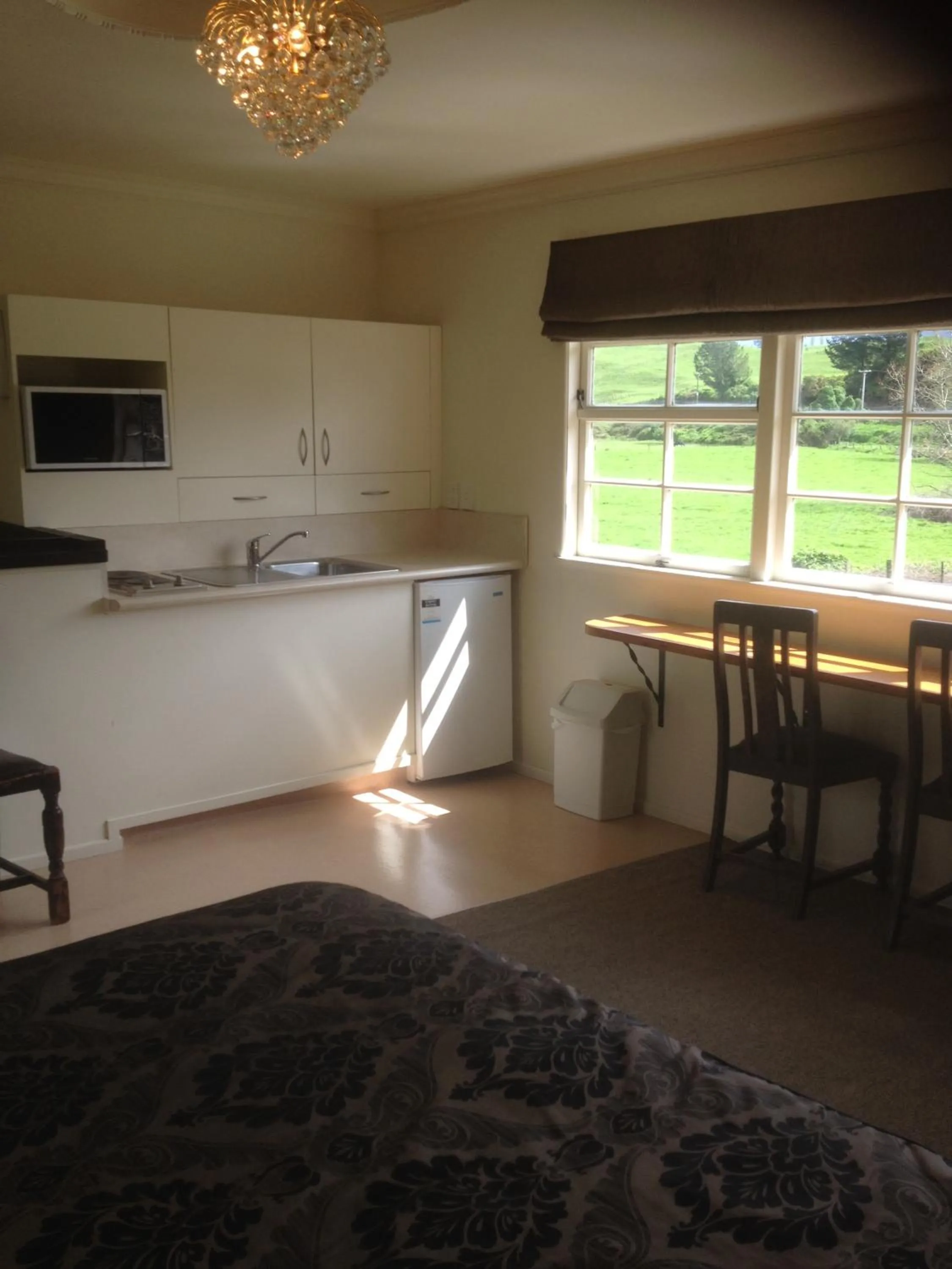 Kitchen or kitchenette in Woodlyn Park Motel