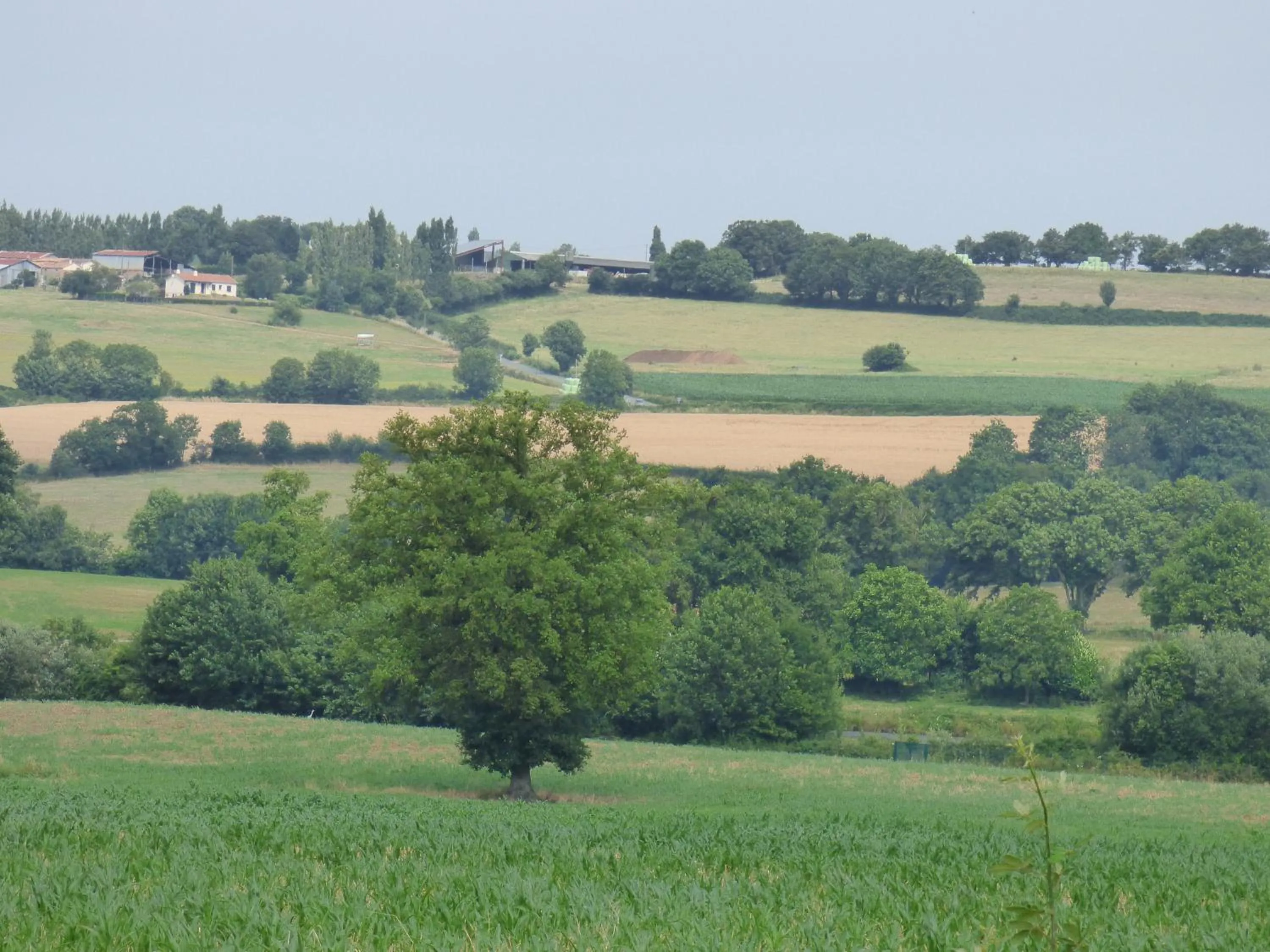 Landmark view in Hôtel Omnubo Collection