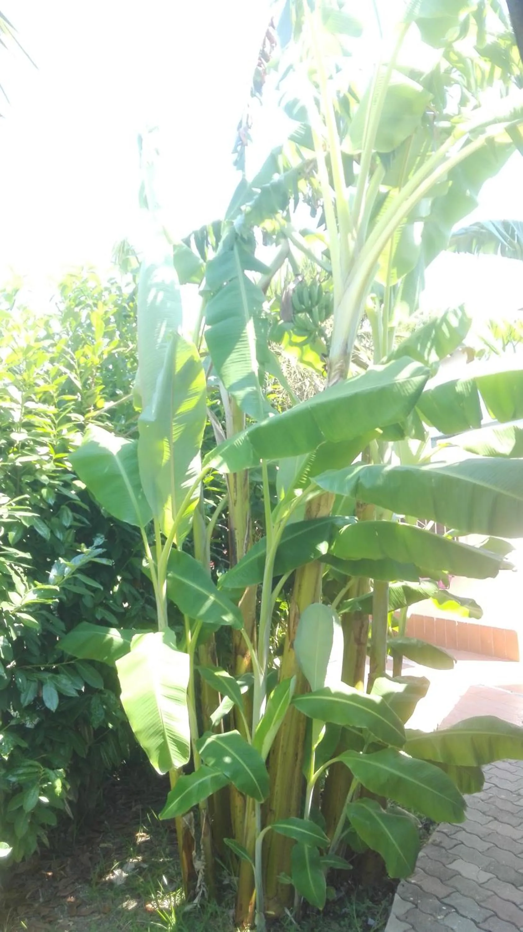 B&B Villa Di Bartolomeo