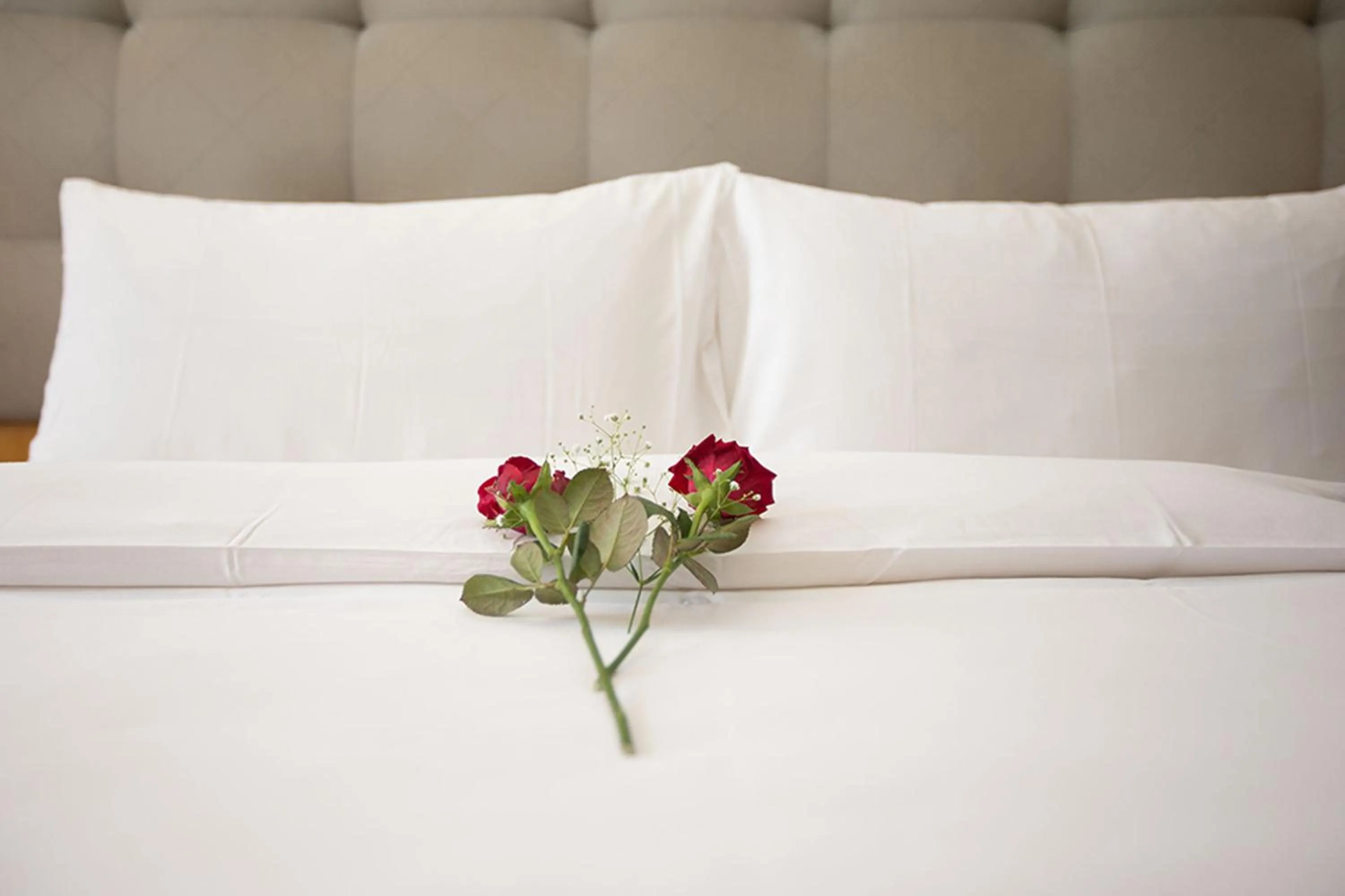 Decorative detail, Bed in Garden Villa