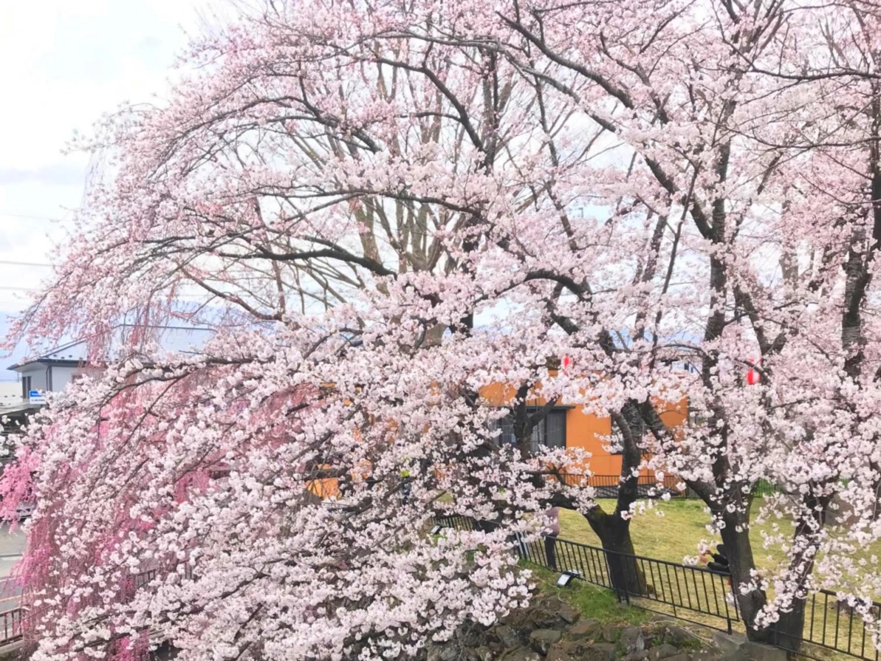 Nearby landmark in Shirakabako Hotel Paipuno Kemuri