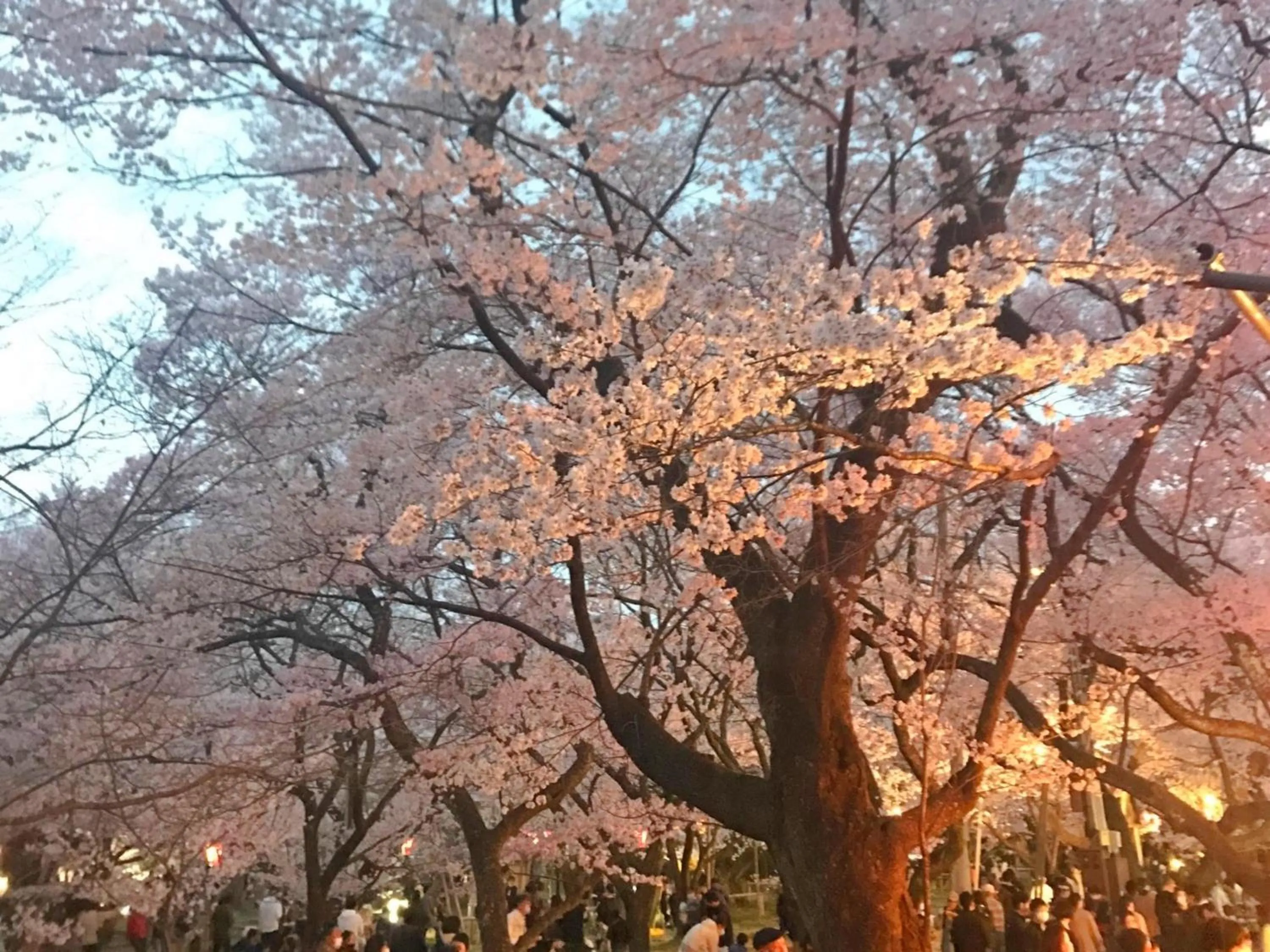 Nearby landmark in Shirakabako Hotel Paipuno Kemuri