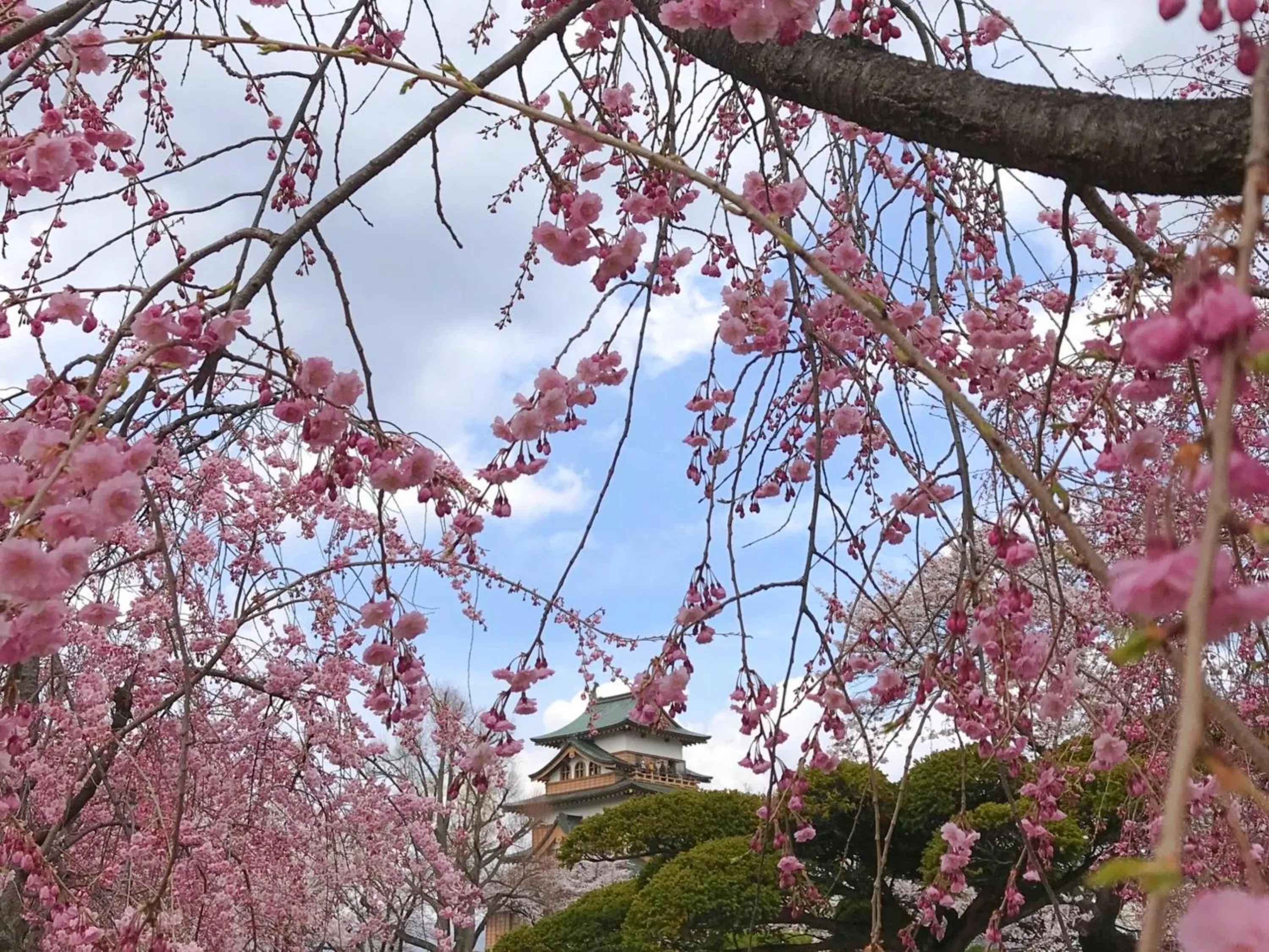 Nearby landmark in Shirakabako Hotel Paipuno Kemuri