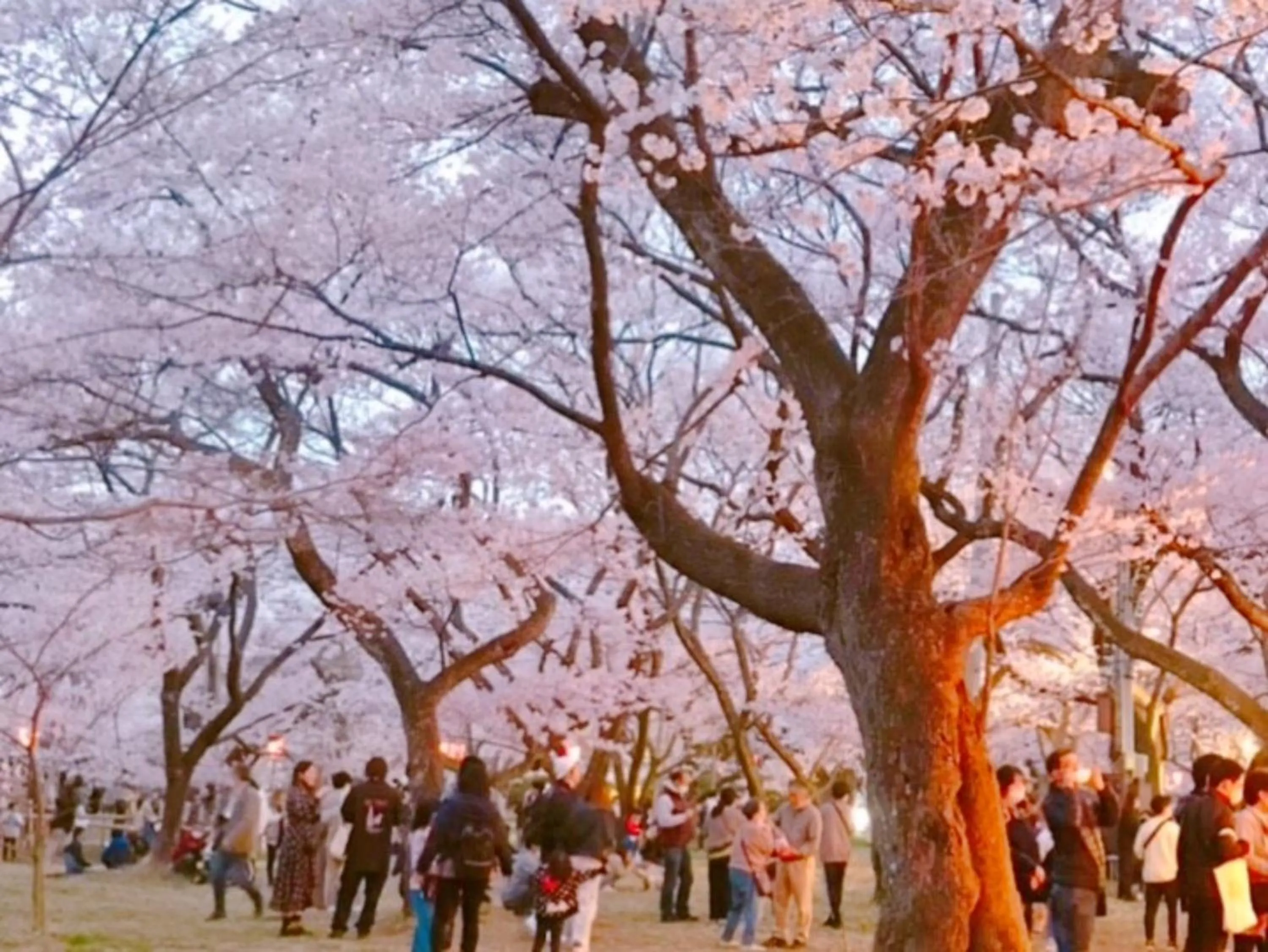 Nearby landmark in Shirakabako Hotel Paipuno Kemuri