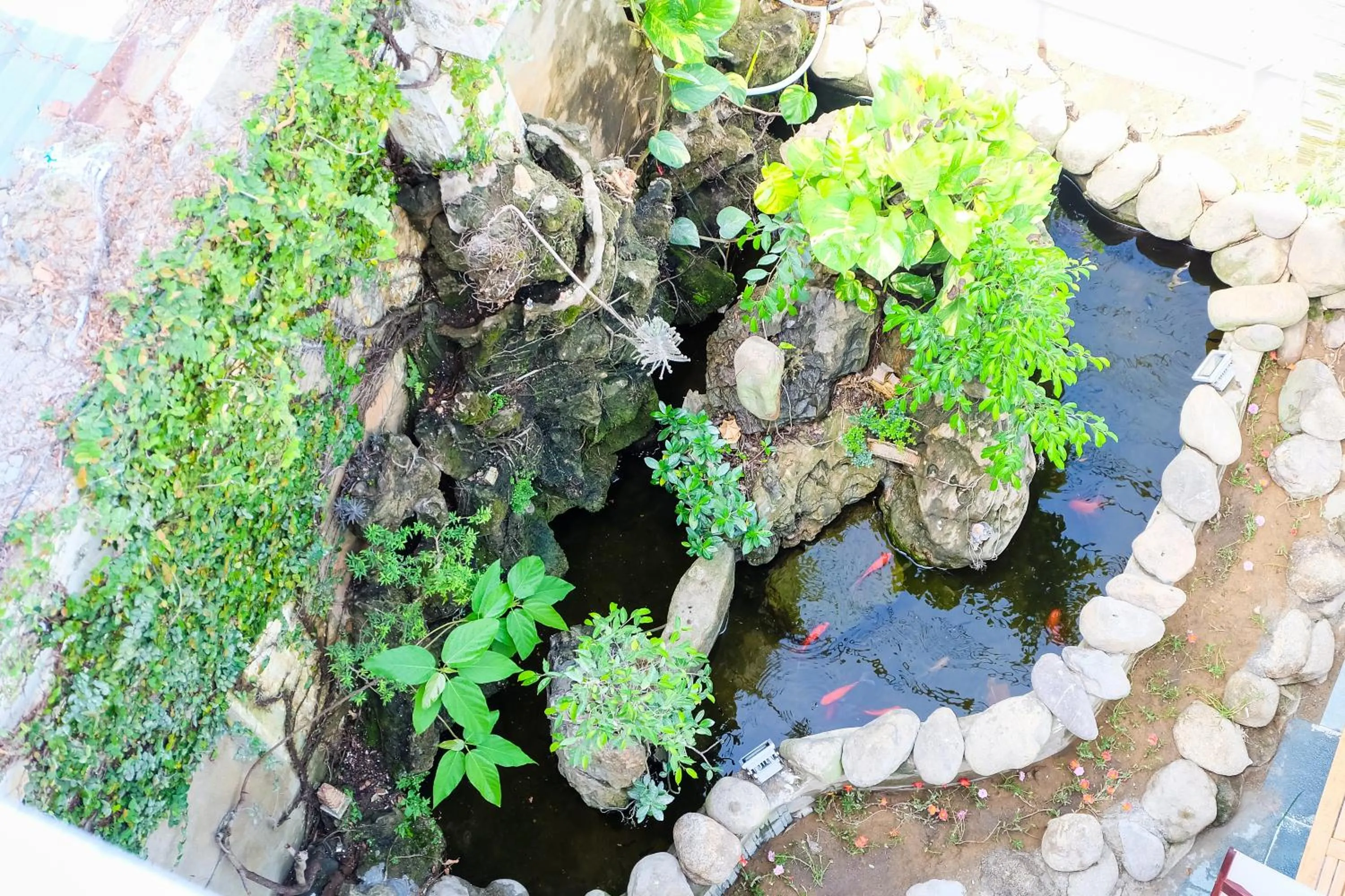 Other in Unity Villa